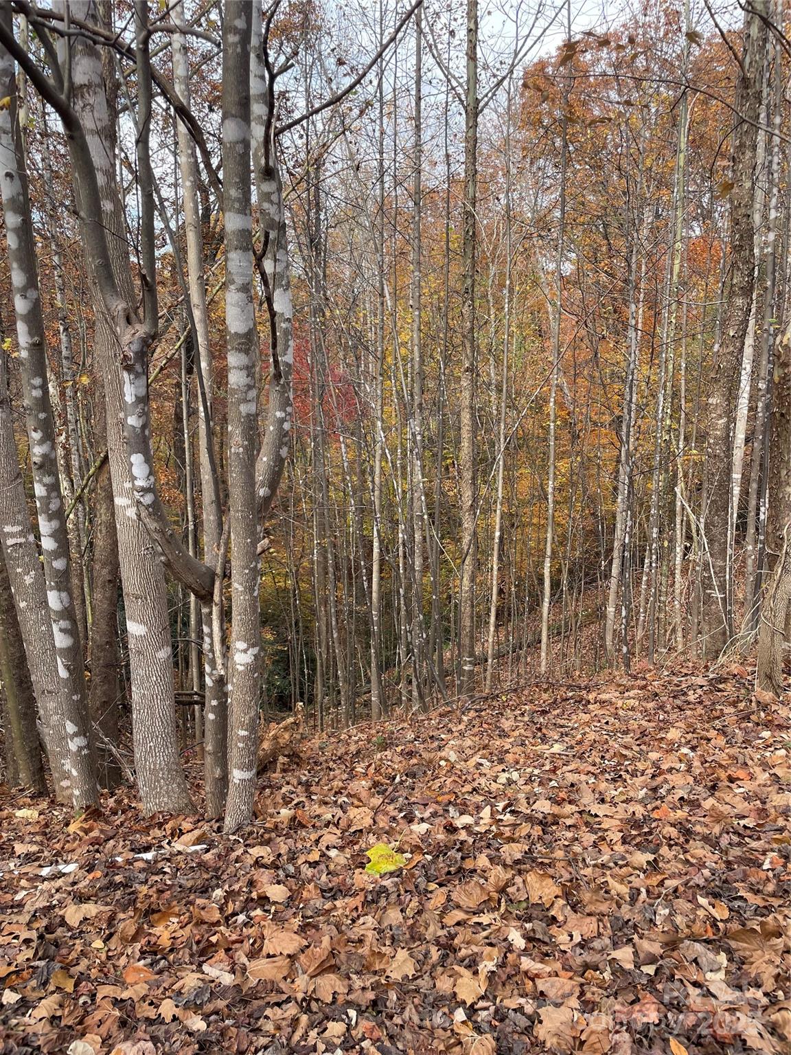 Forest Heights - Land