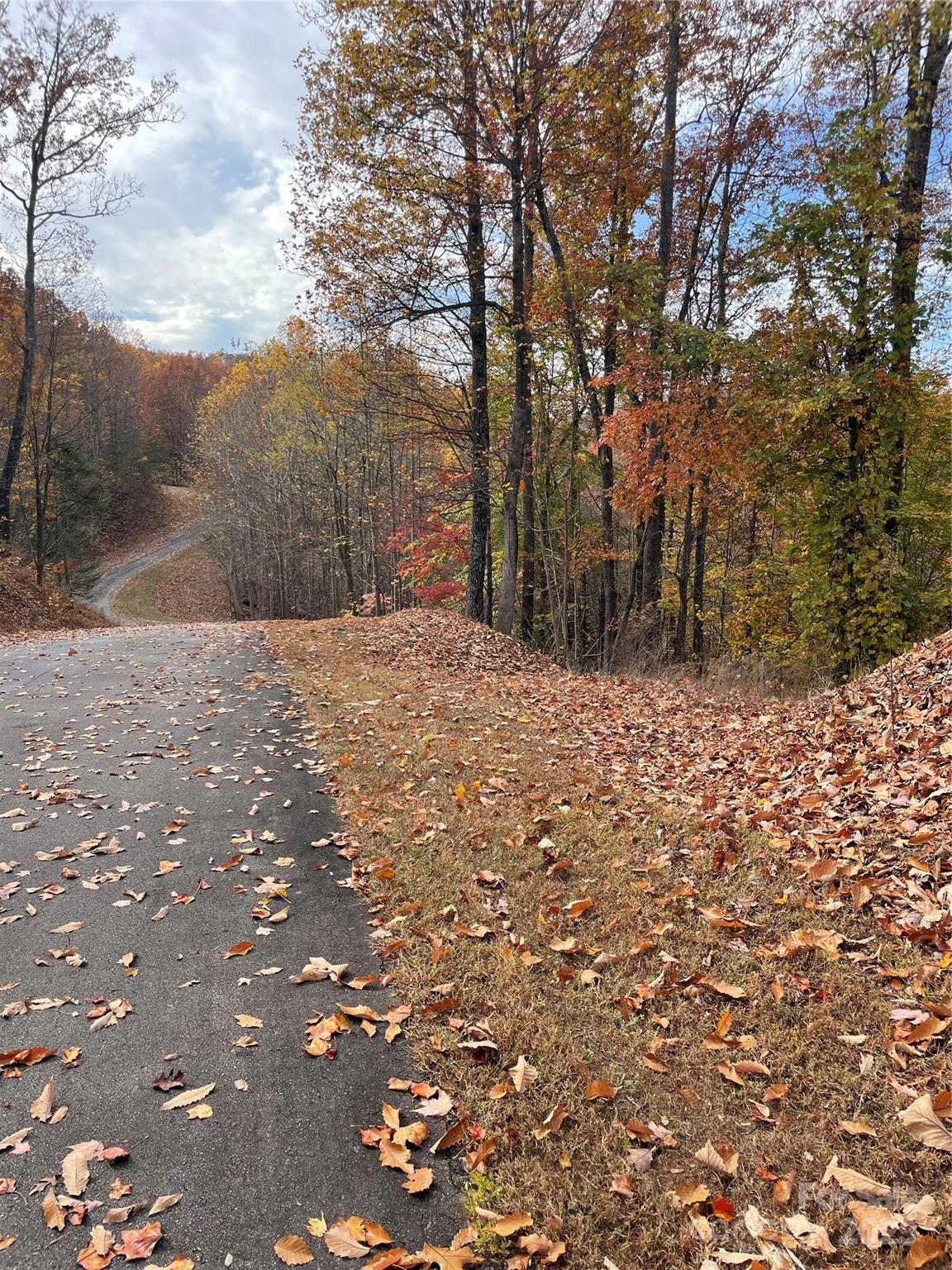 Forest Heights - Land