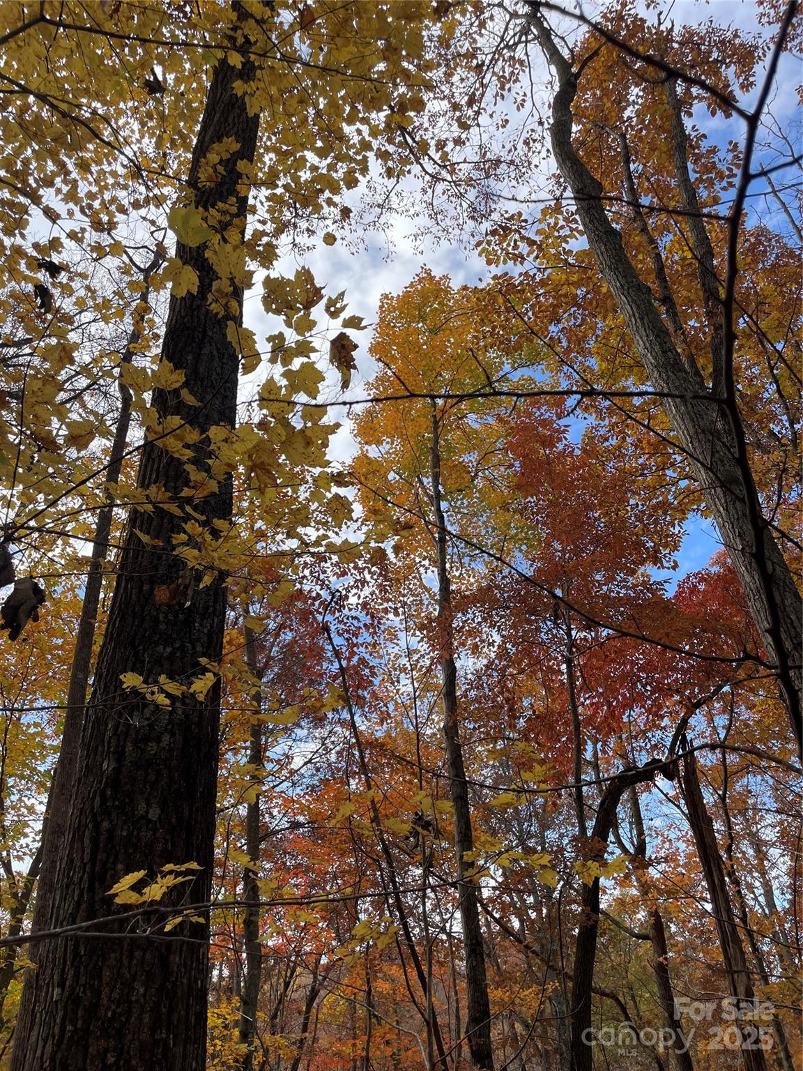 Forest Heights - Land