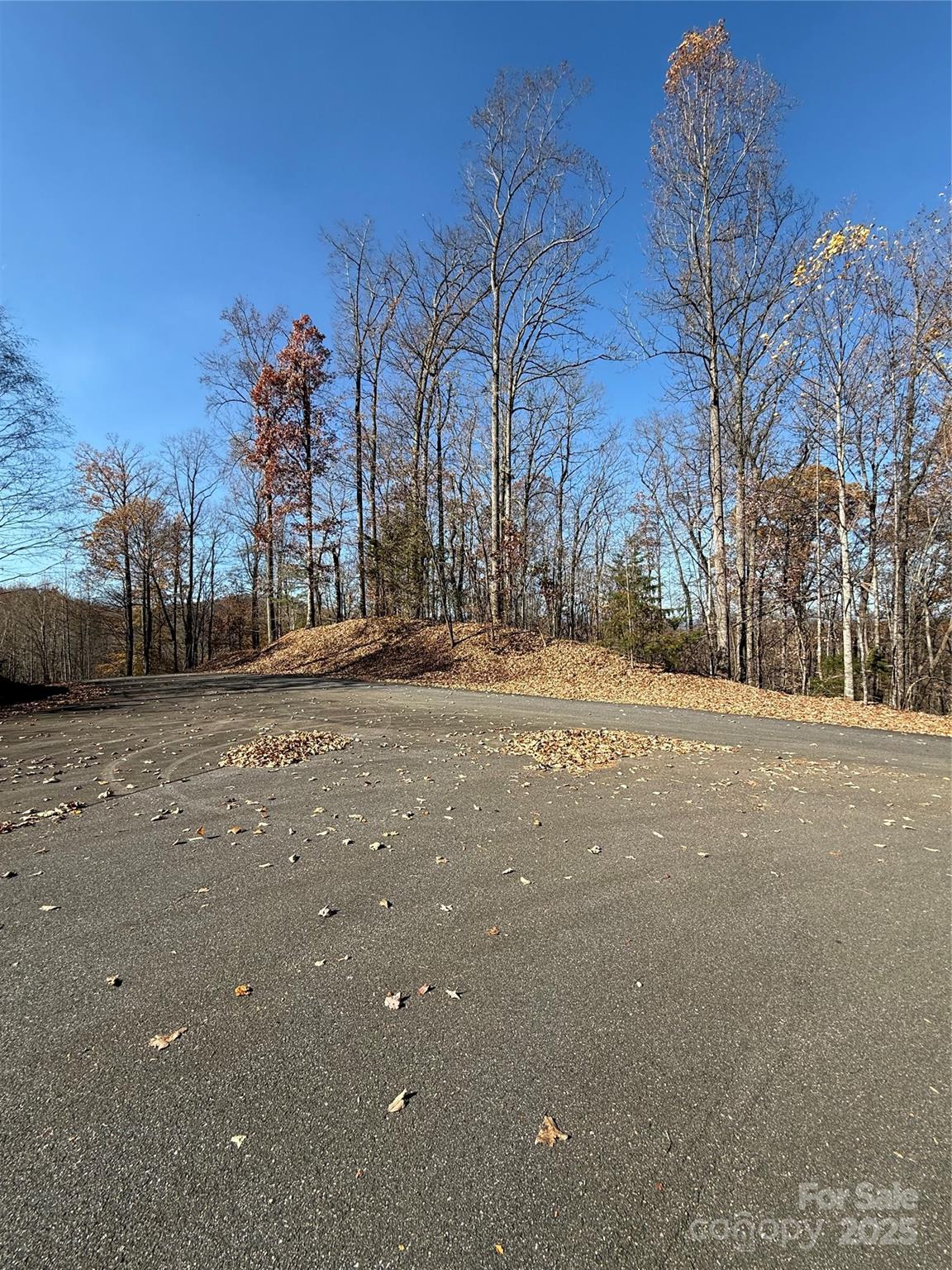 V/L Lot 72 & 170 Black Lark Drive