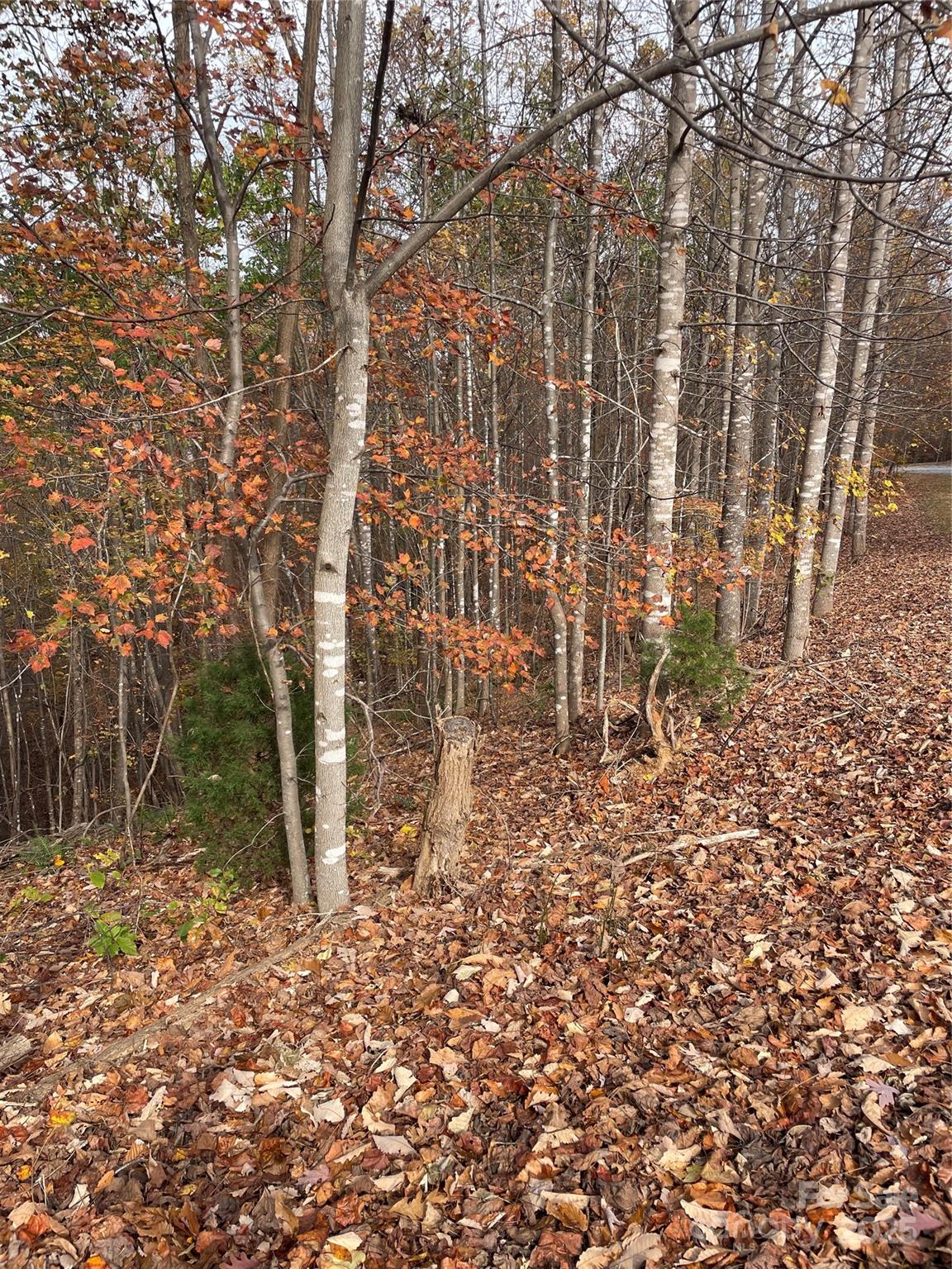 Forest Heights - Land