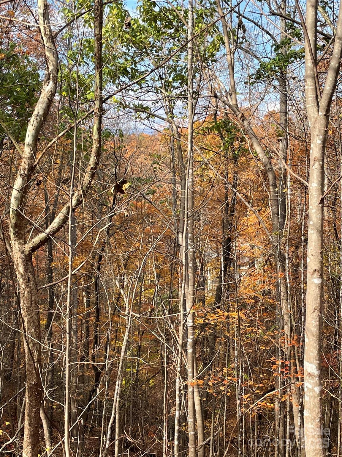 Forest Heights - Land