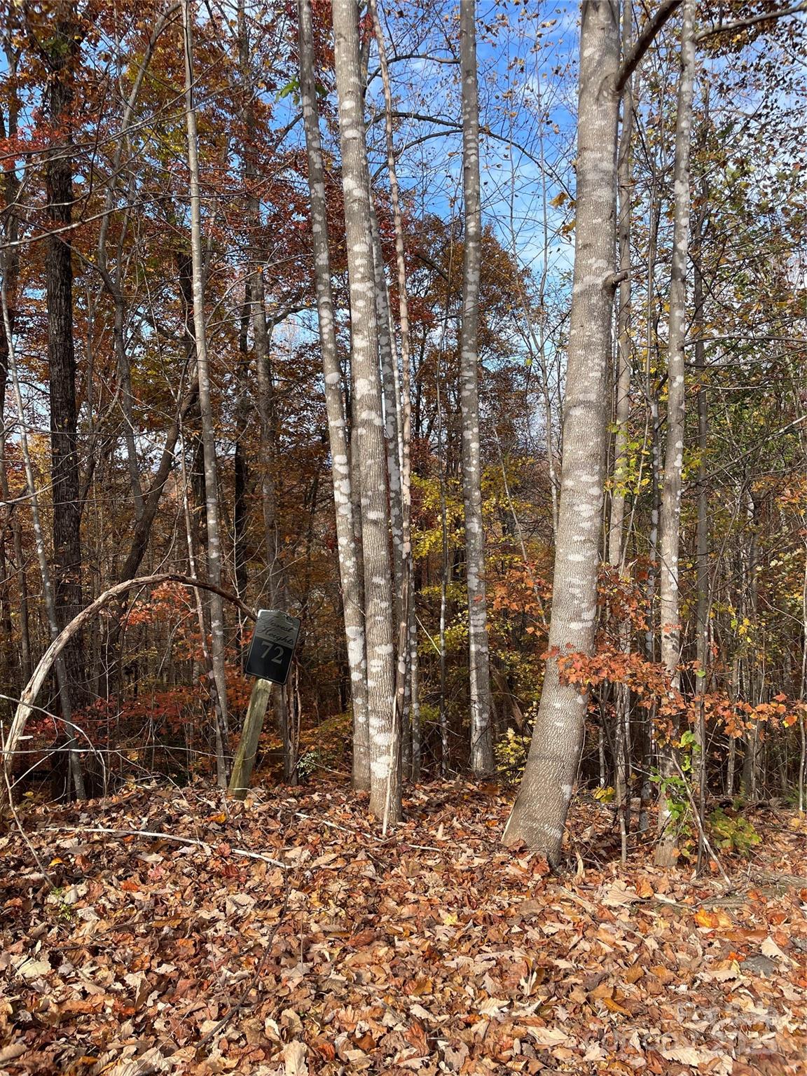 Forest Heights - Land