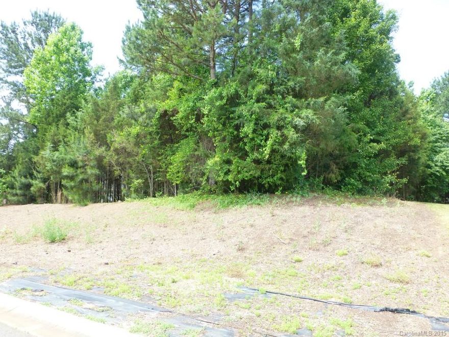 Nice wooded lot in beautiful Tomshire Estates. Custom Home subdivision. cul-de-sac, great SE Gaston location!