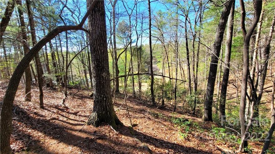 Build your dream home in one of Lake James'  original neighborhoods, without the hassle of HOA's!  Comprised of two lots totaling .52 of an acre. Just minutes to public boat access areas, Lake James State Park, and the Fonta Flora State Trail.