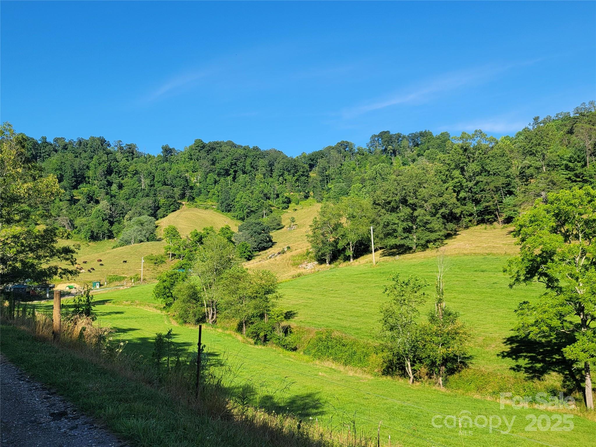 171 Cowtail Cove
