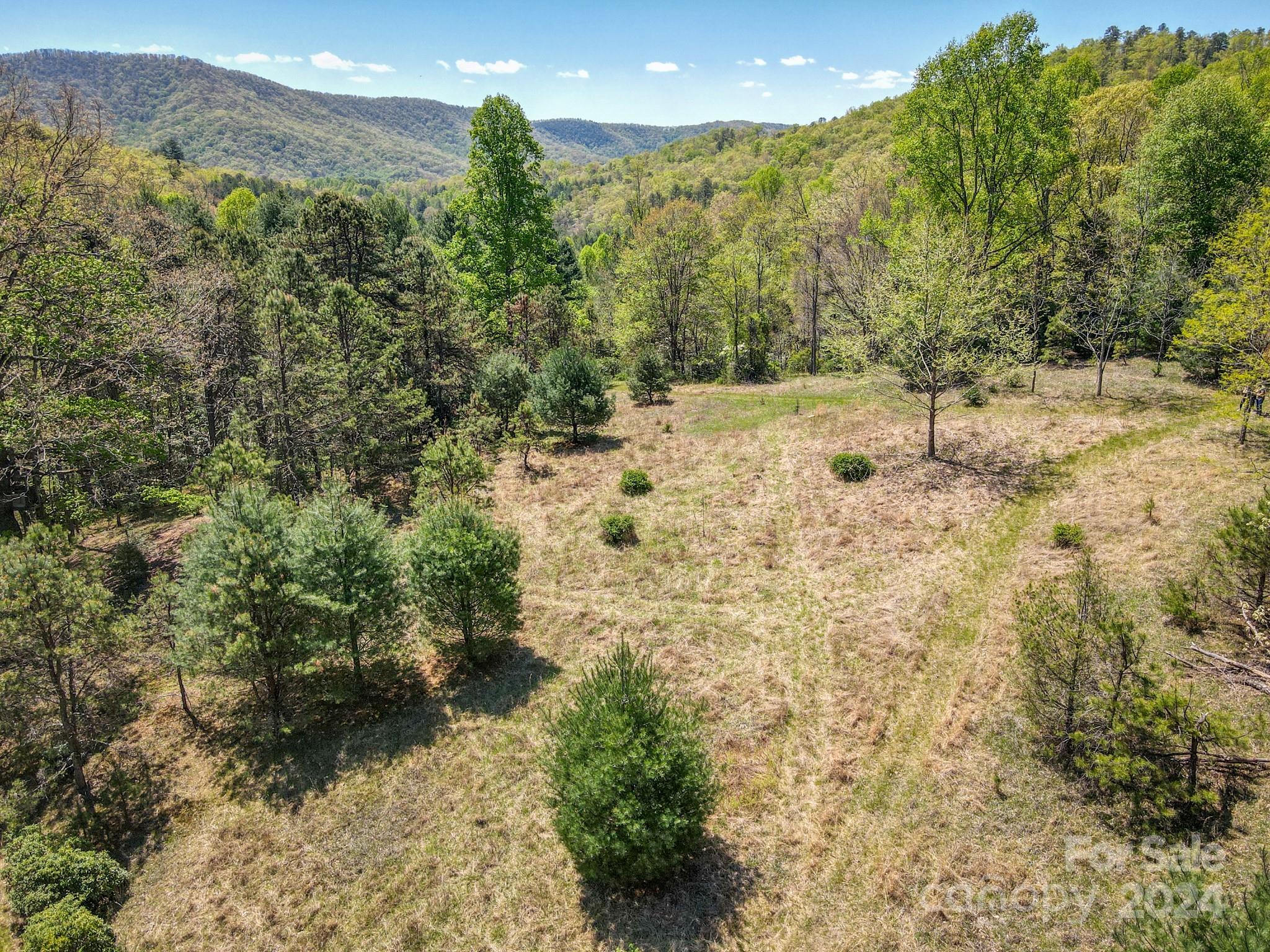 000 Davey Branch Road