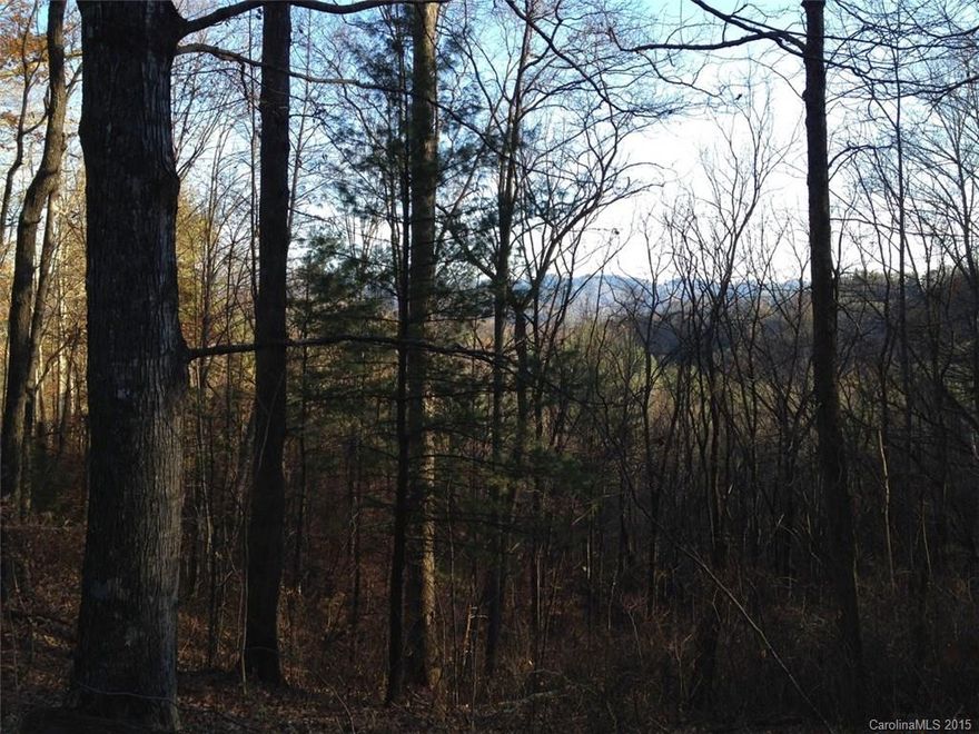 Just north of Mars Hill, a 25 minute drive to downtown Asheville, this acreage has southern exposure, privacy, timber, and long-range winter views from upper slopes and ridge-top. It ranges from dry/seasonal creek-bed and spring at the bottom to gently sloping to steep to ridge-top, with multiple building sites: great for a small subdivision or private estate. Elevation 2460-2780'. Access from Leatherneck Ridge a private gravel road with 30’ right of way and drive cut to edge of property.