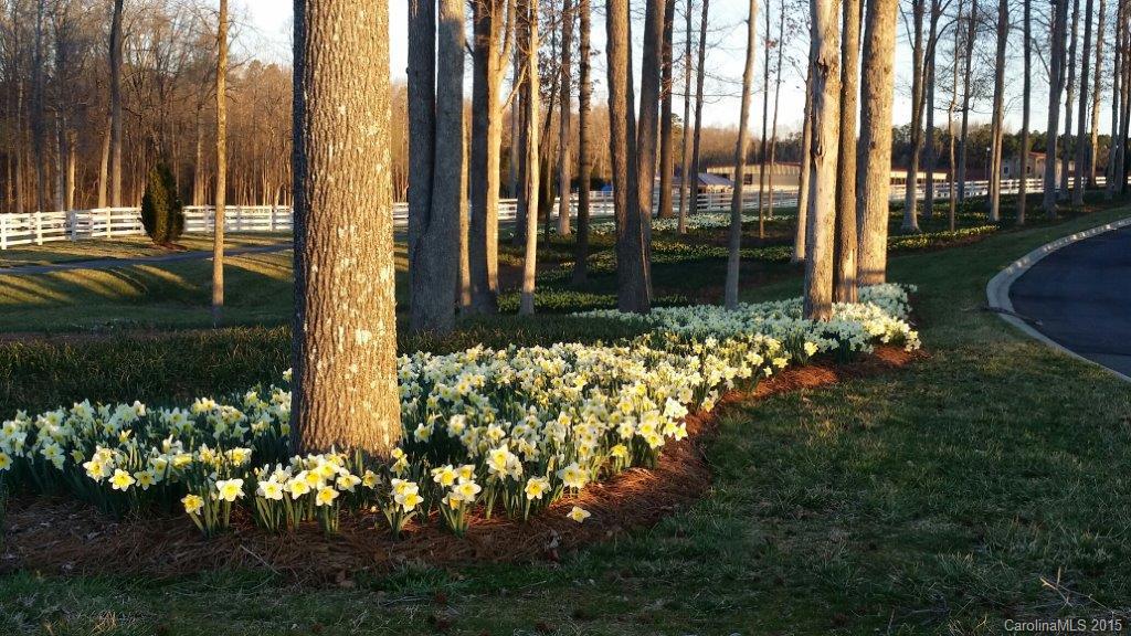 Cheval - Residential