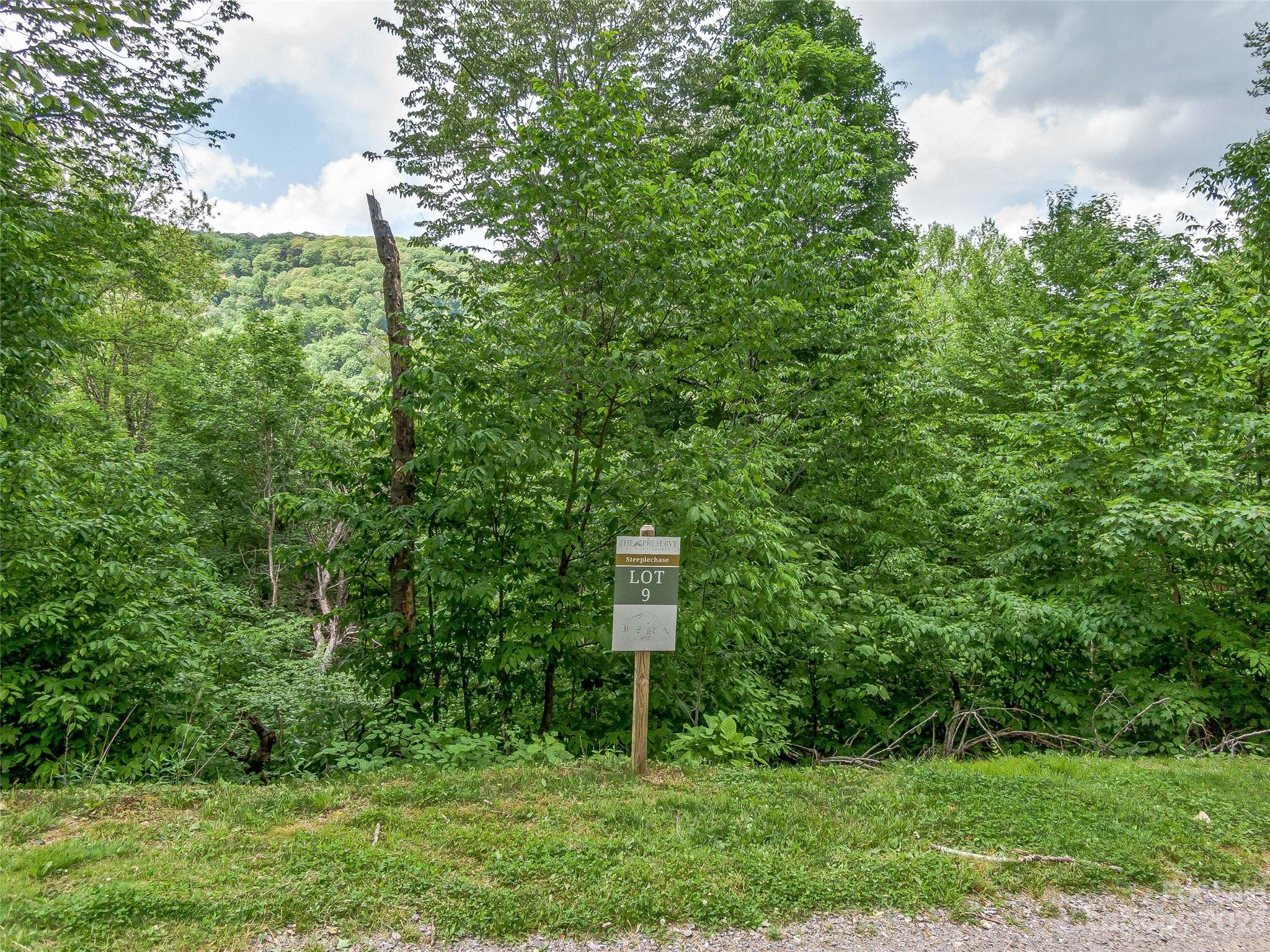 The Preserve at Wolf Laurel - Land