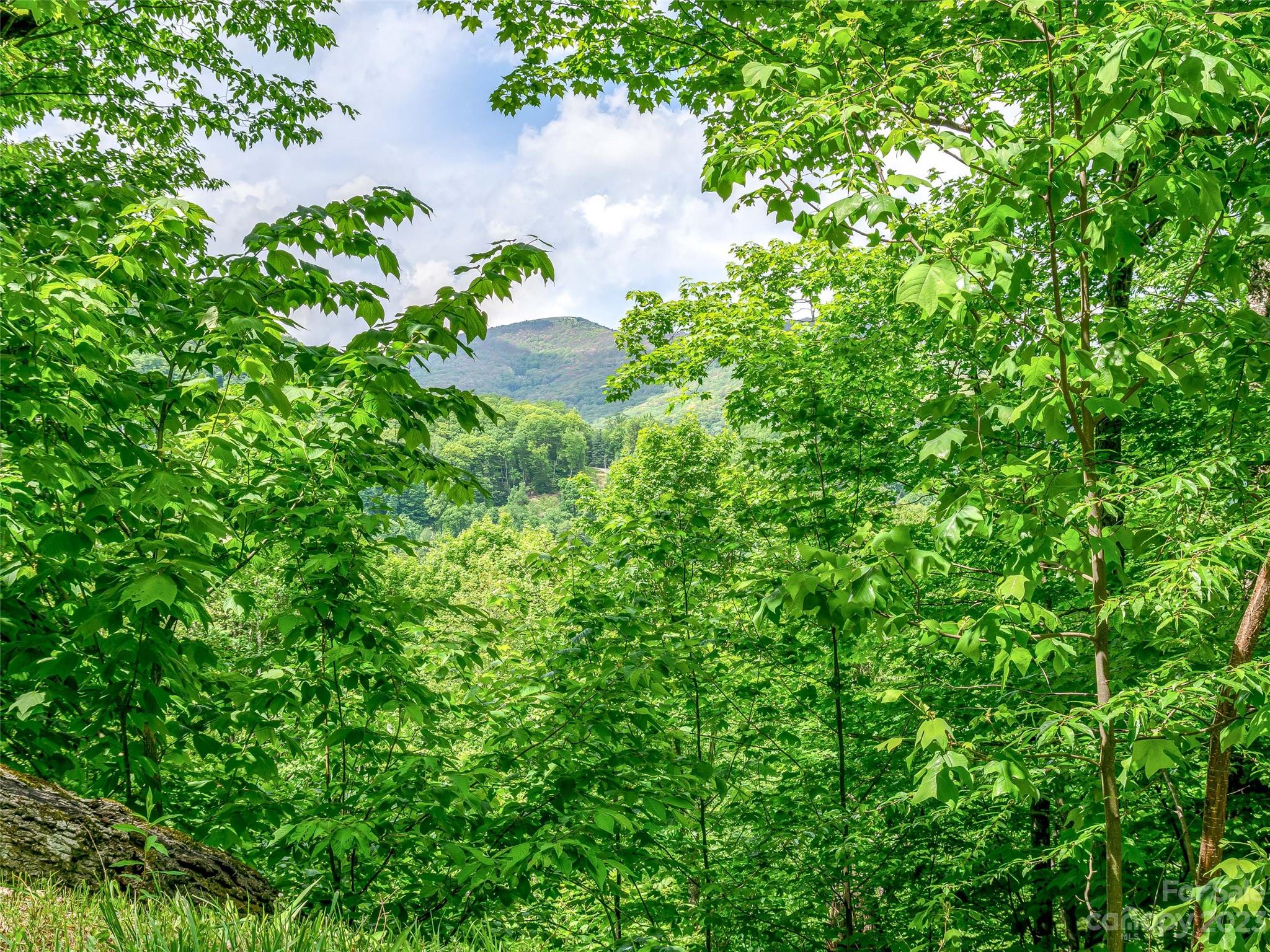 The Preserve at Wolf Laurel - Land