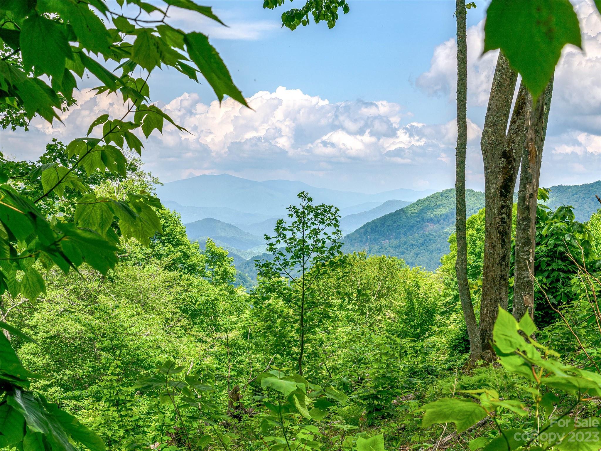 The Preserve at Wolf Laurel - Land