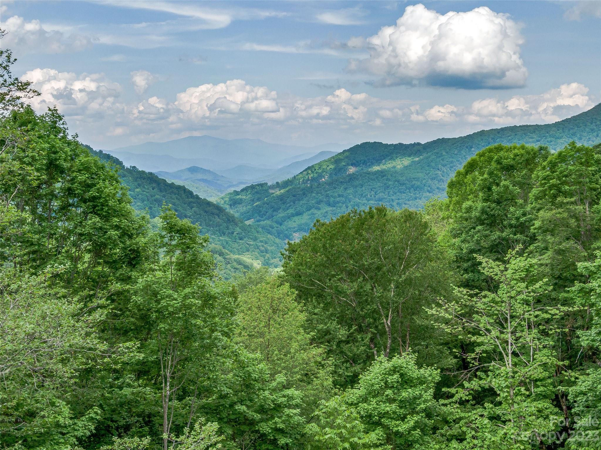 The Preserve at Wolf Laurel - Land
