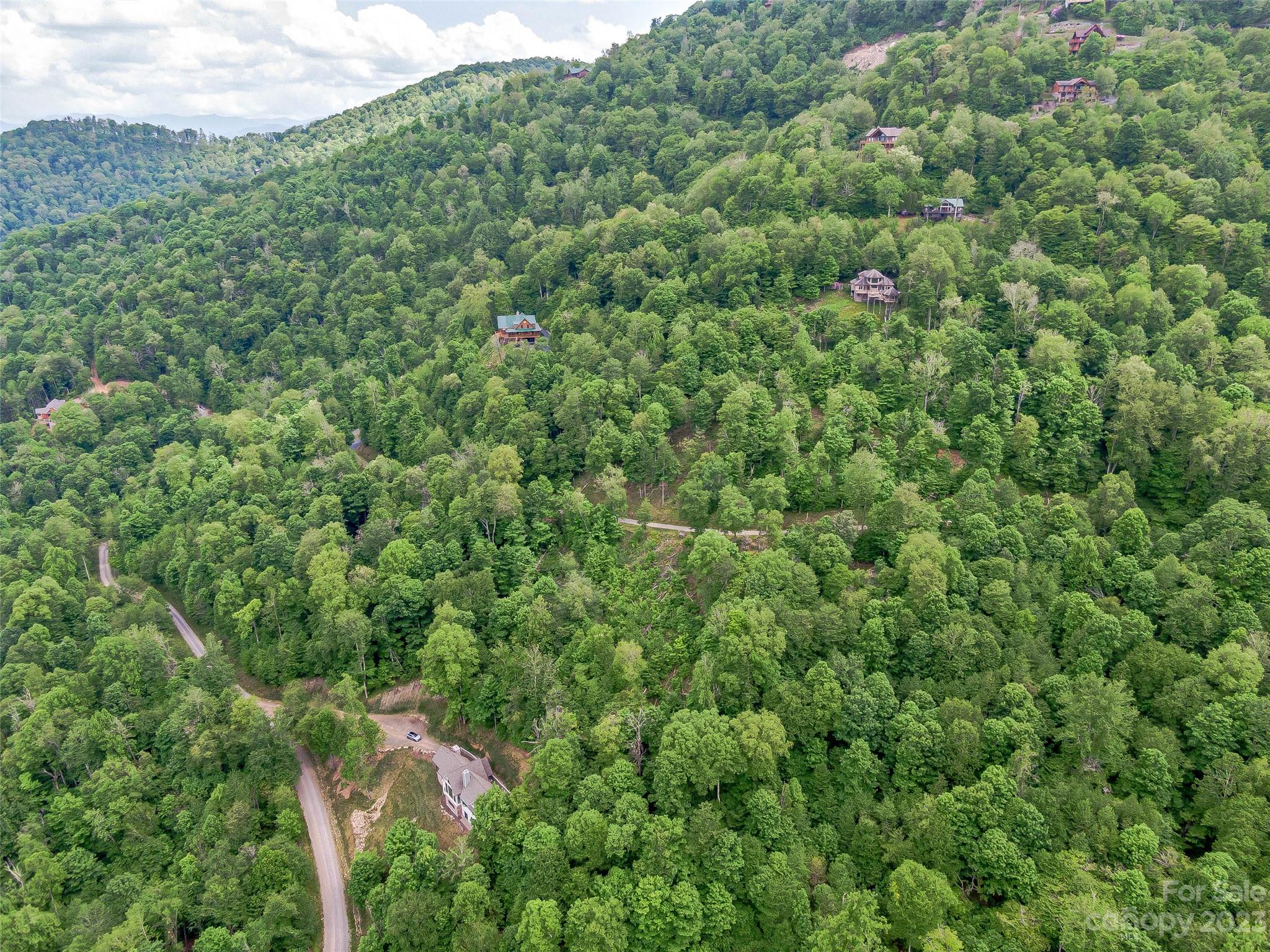 The Preserve at Wolf Laurel - Land