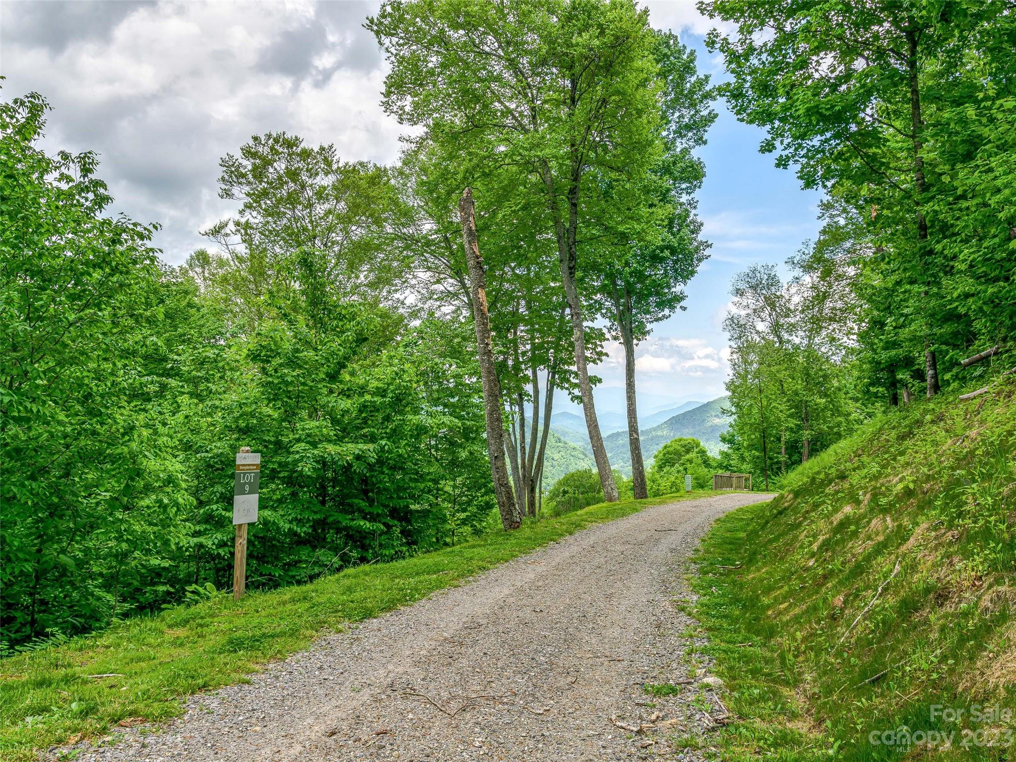 The Preserve at Wolf Laurel - Land