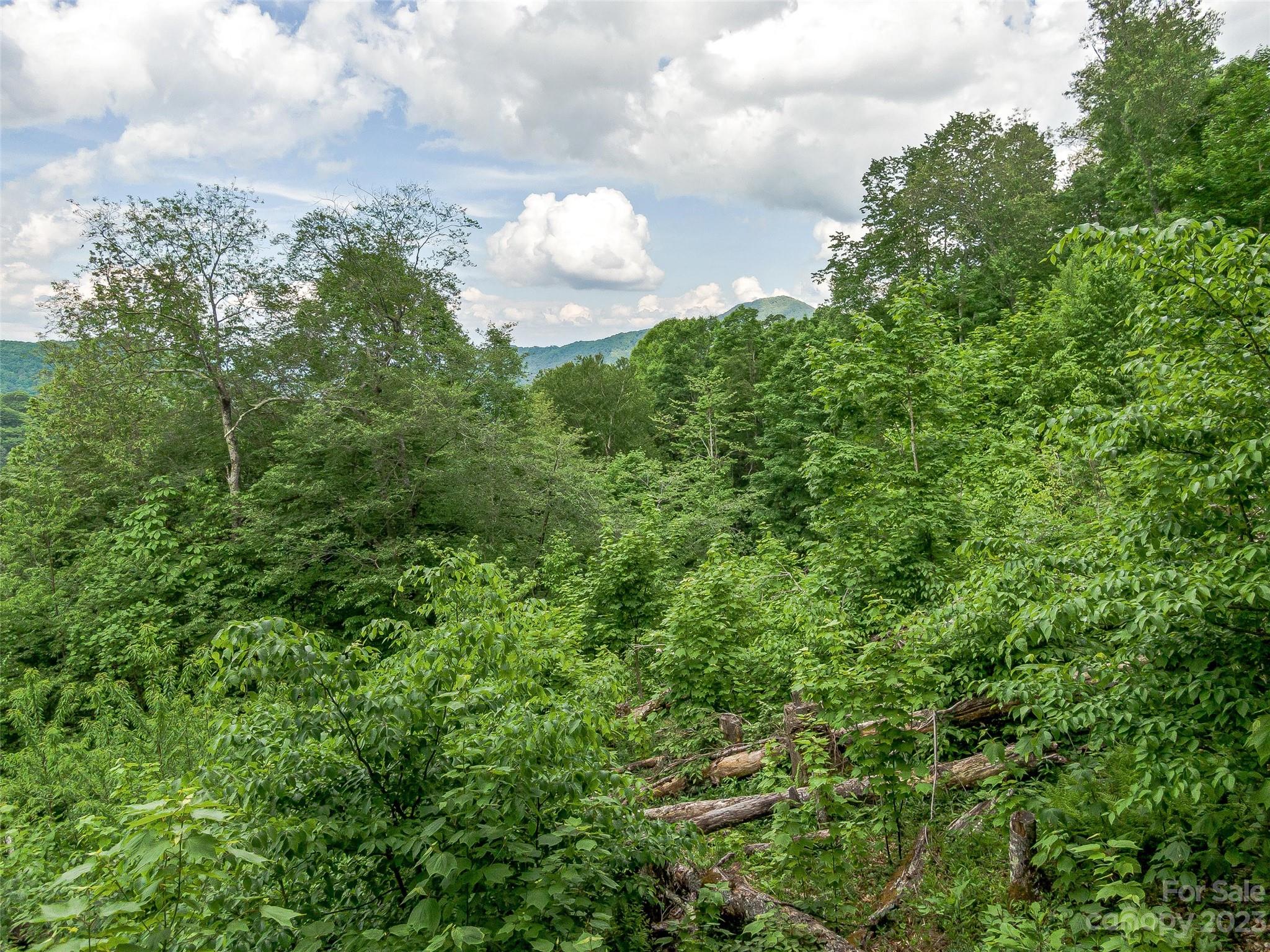 The Preserve at Wolf Laurel - Land