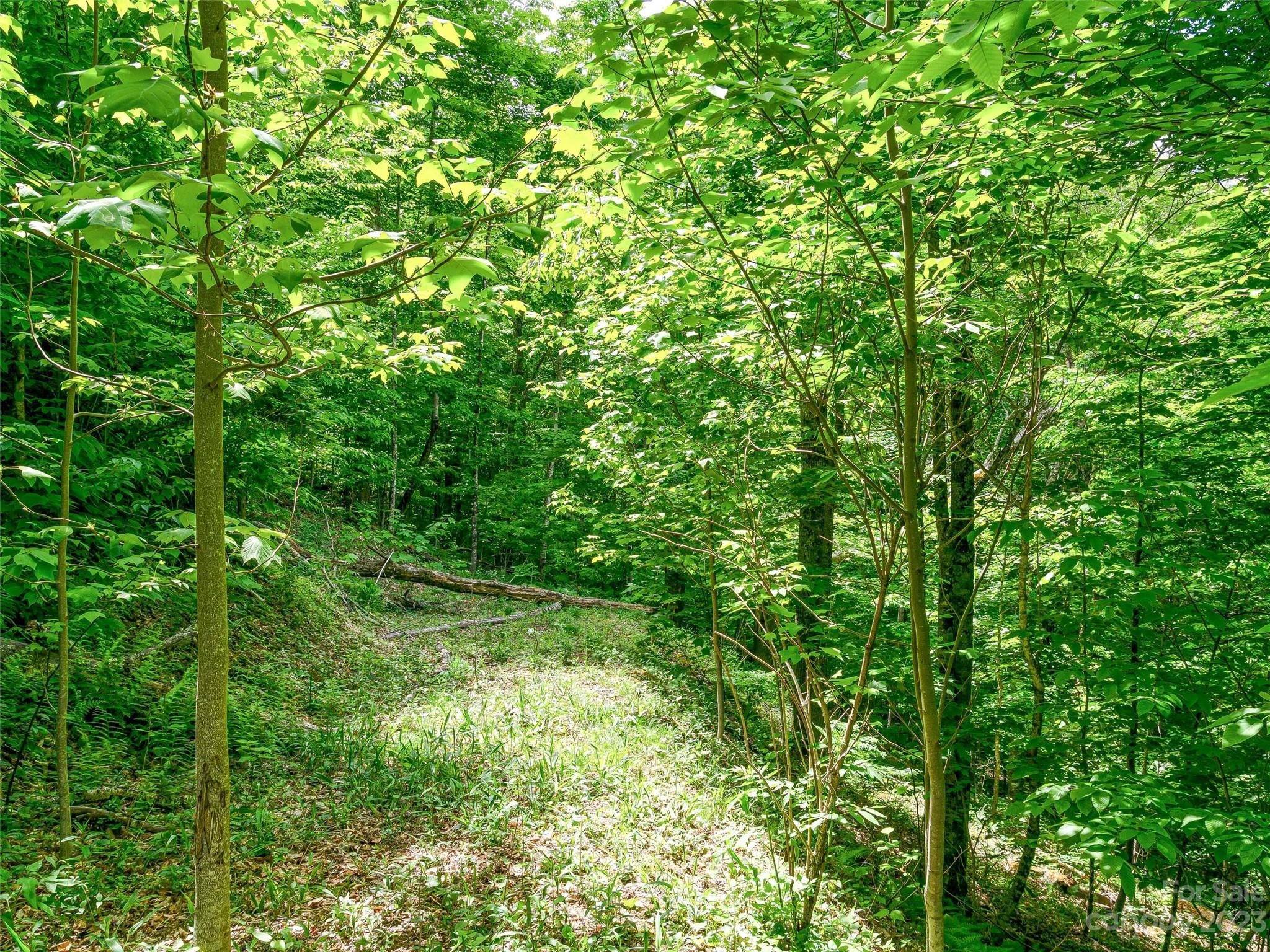 The Preserve at Wolf Laurel - Land