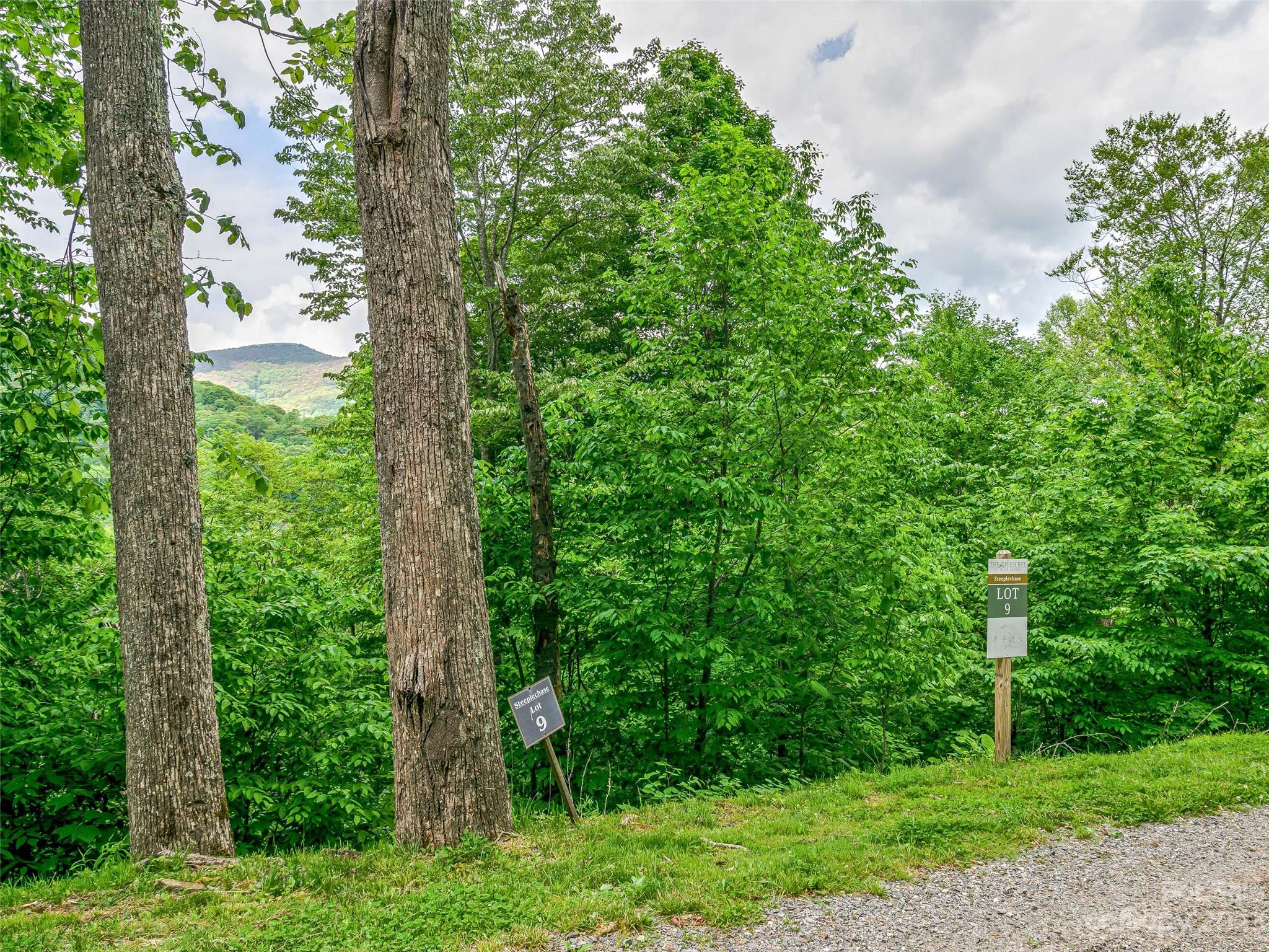 The Preserve at Wolf Laurel - Land