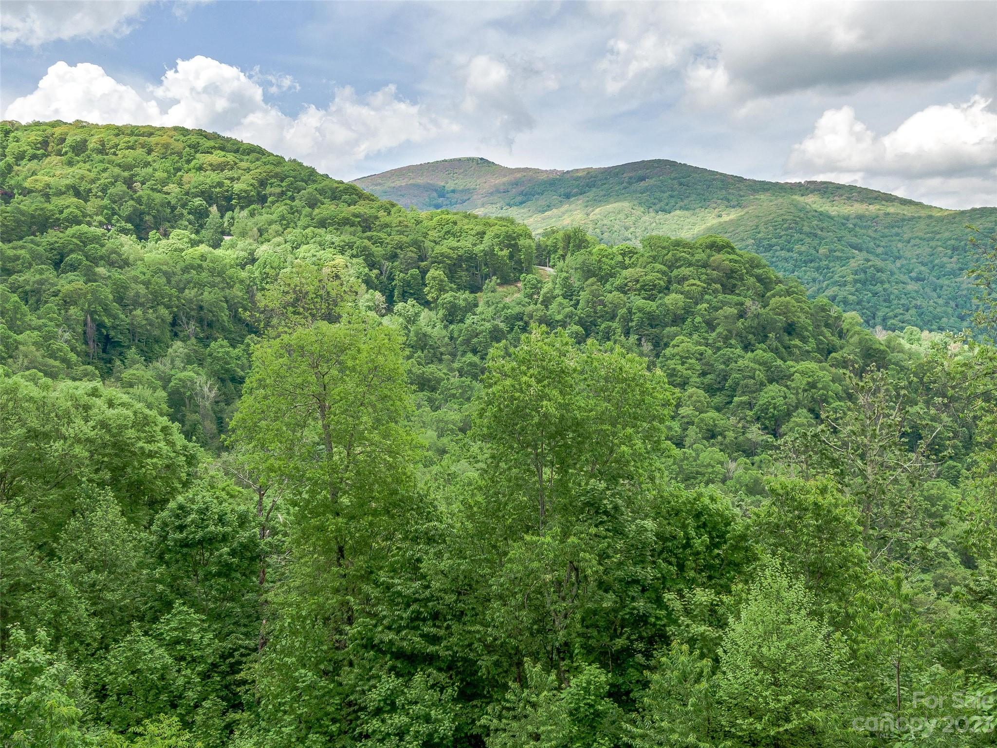 The Preserve at Wolf Laurel - Land