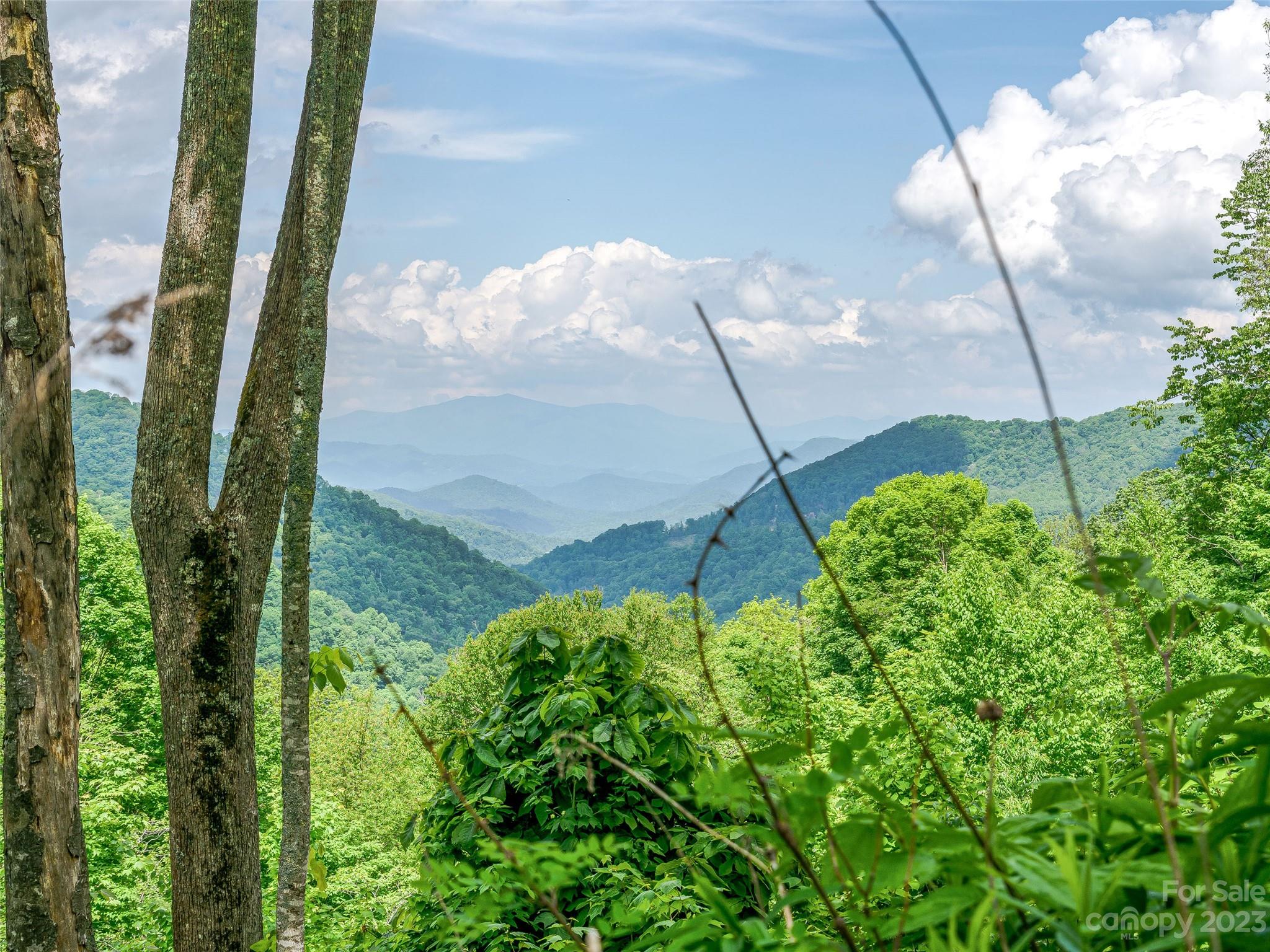 The Preserve at Wolf Laurel - Land