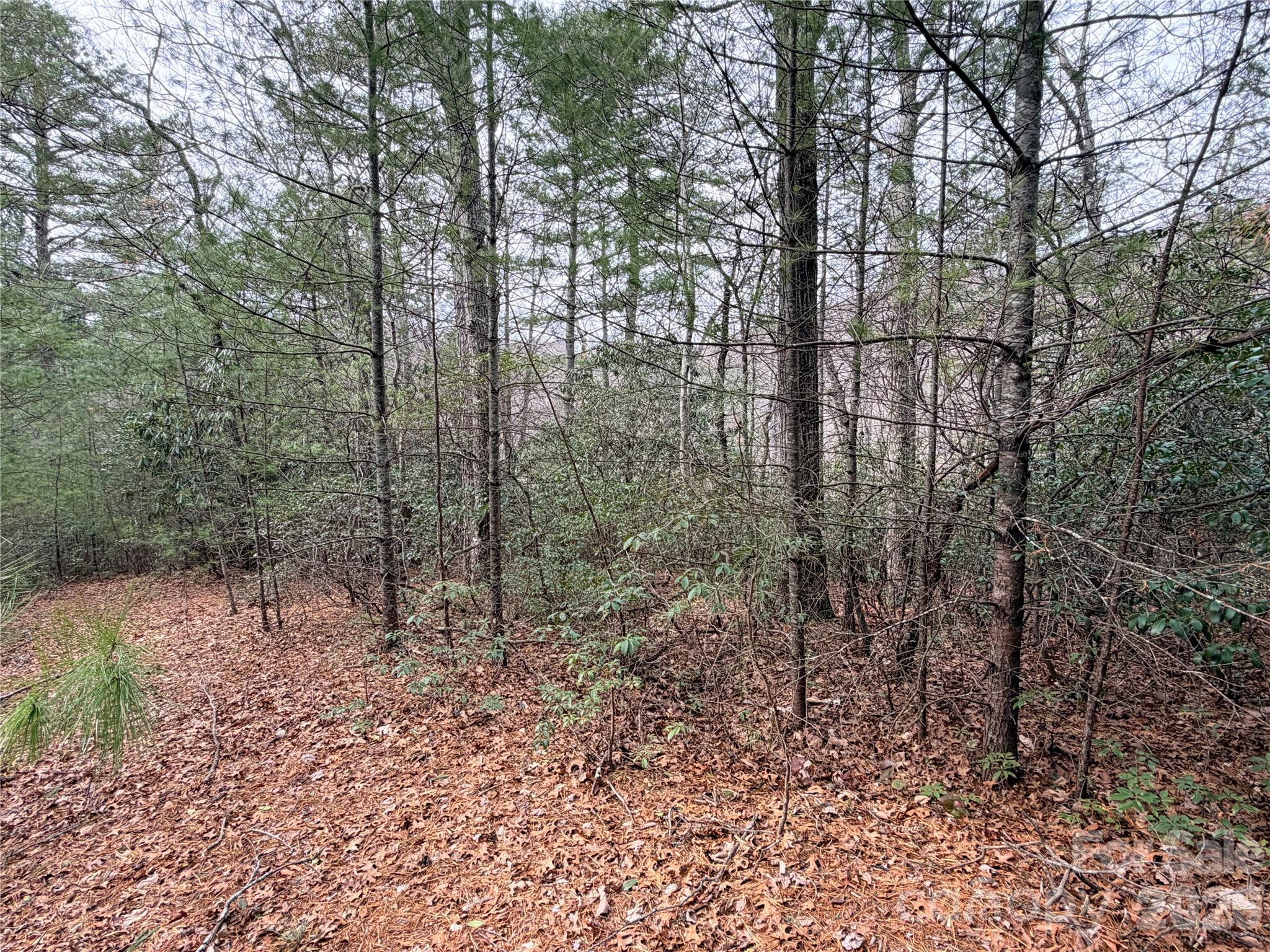 TBD (Lot 4) Wolf Den Lane 4