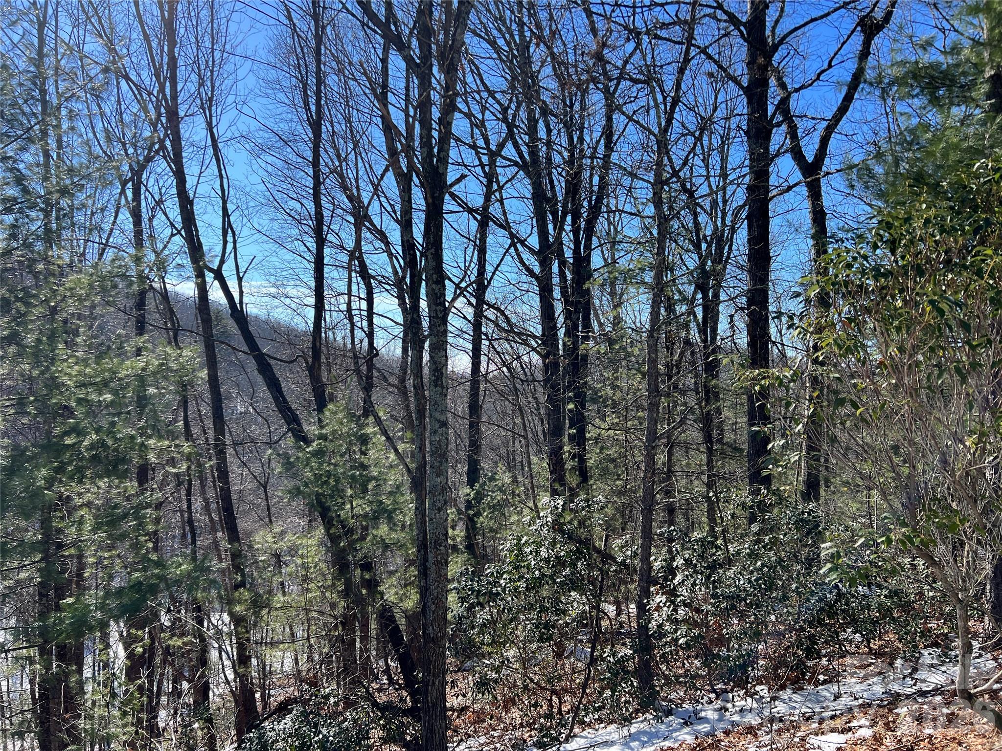 Grapevine Gap - Land