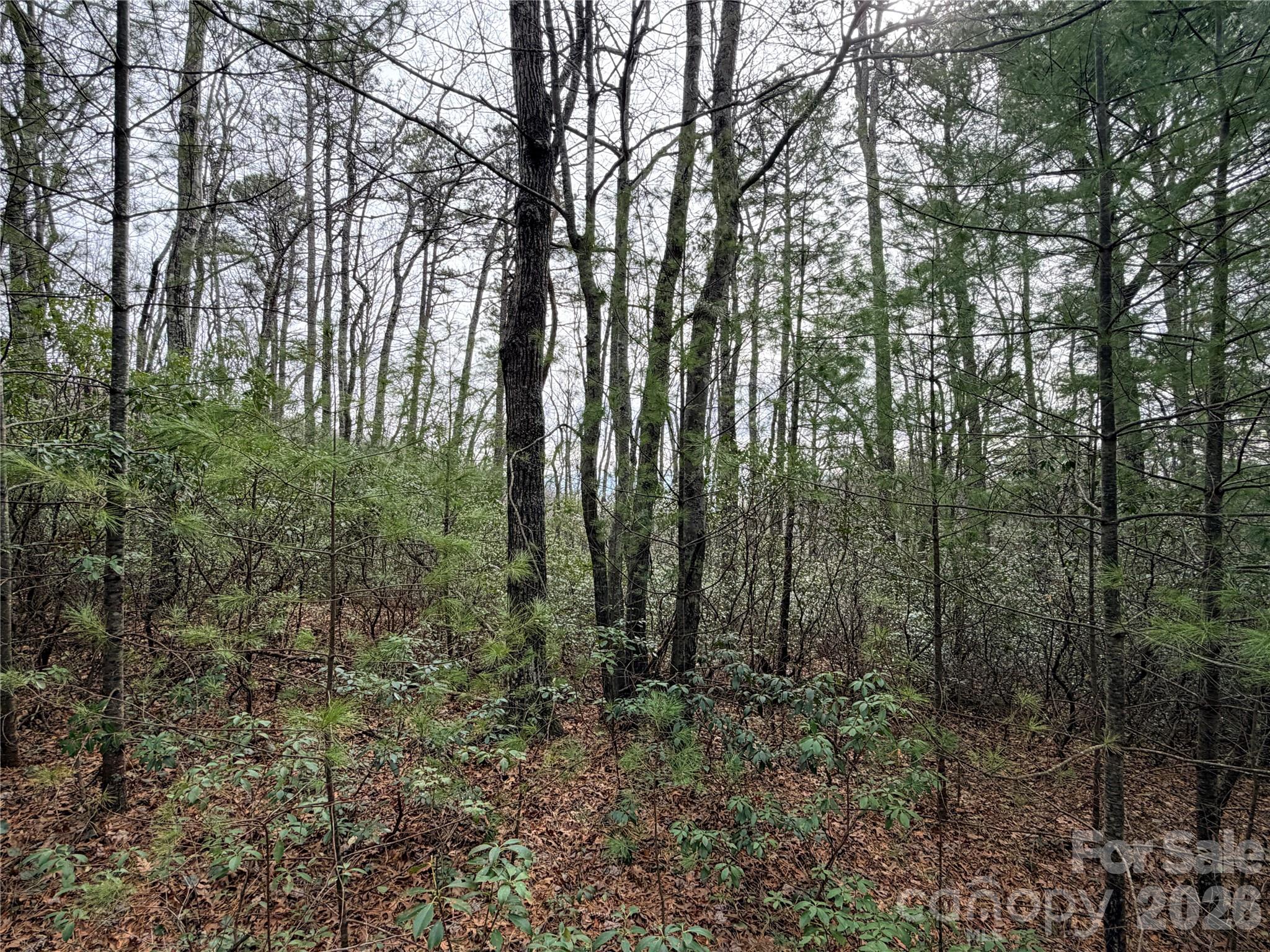 Grapevine Gap - Land