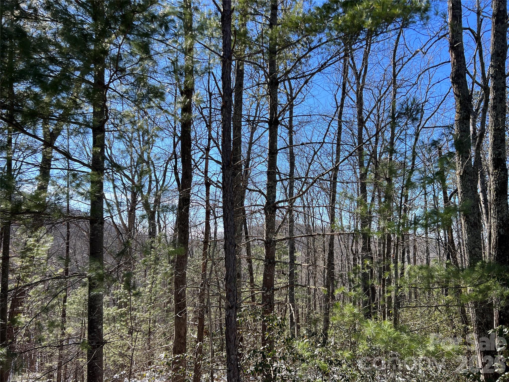 Grapevine Gap - Land