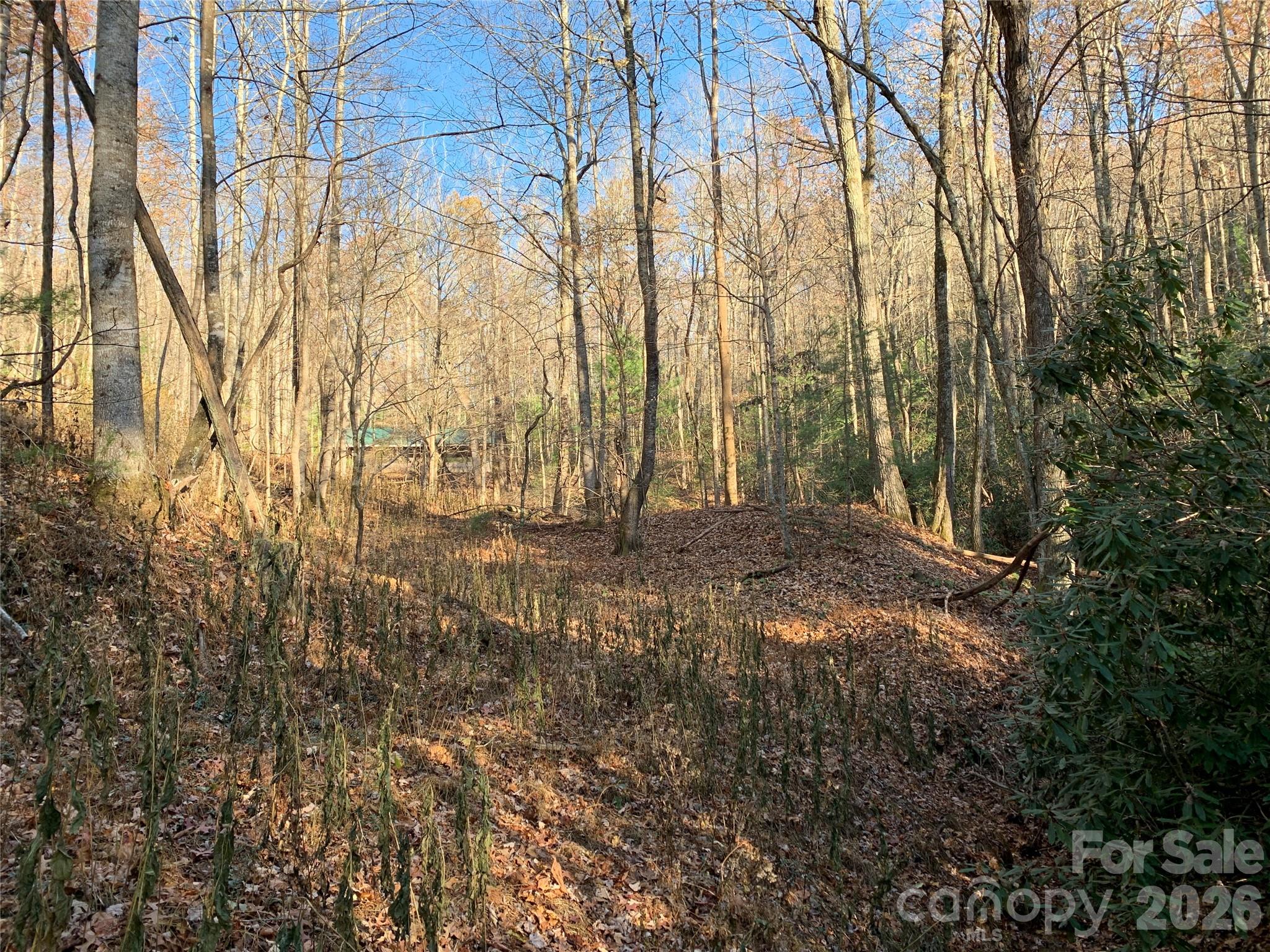 Grapevine Gap - Land