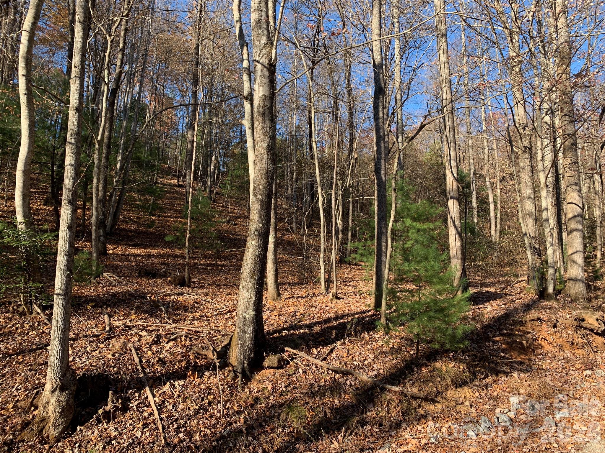 Grapevine Gap - Land