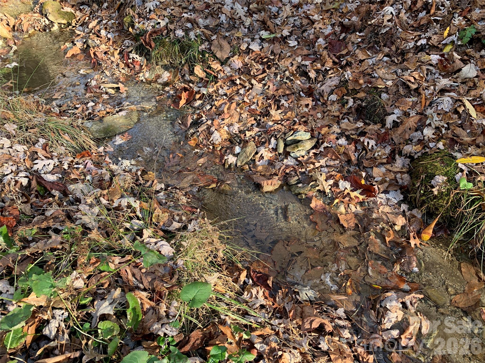 Grapevine Gap - Land