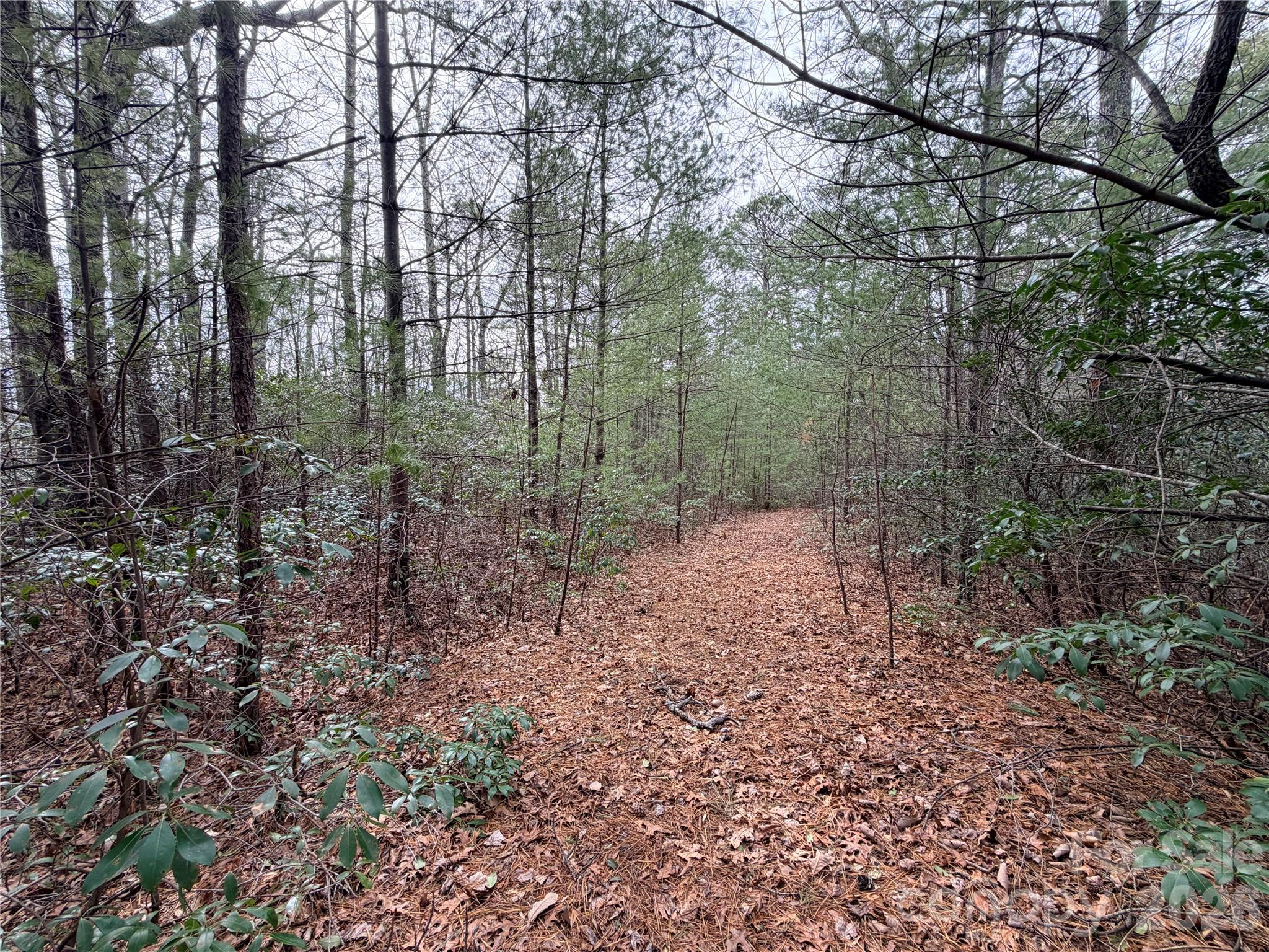 TBD (Lot 4) Wolf Den Lane 4