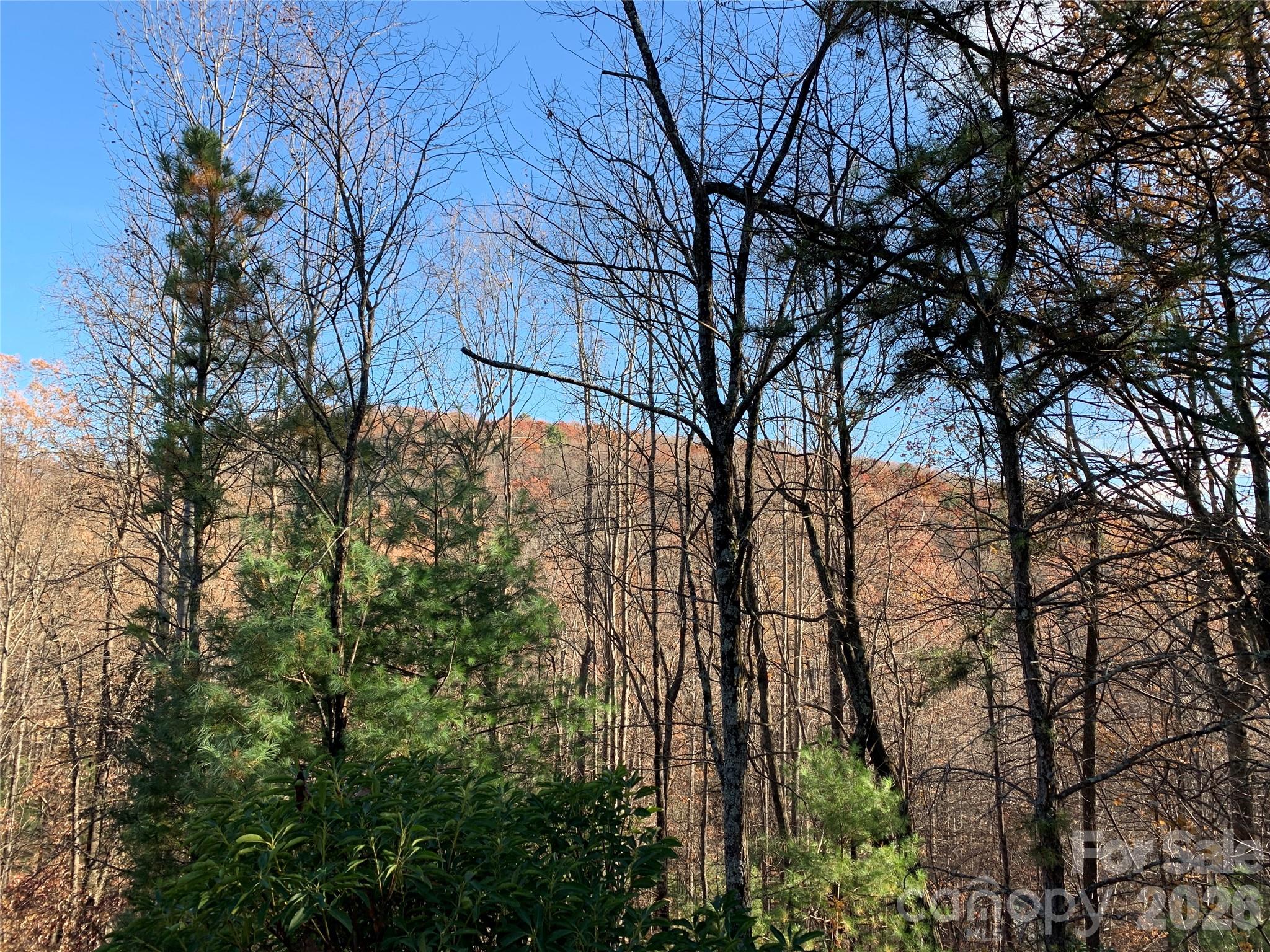 Grapevine Gap - Land