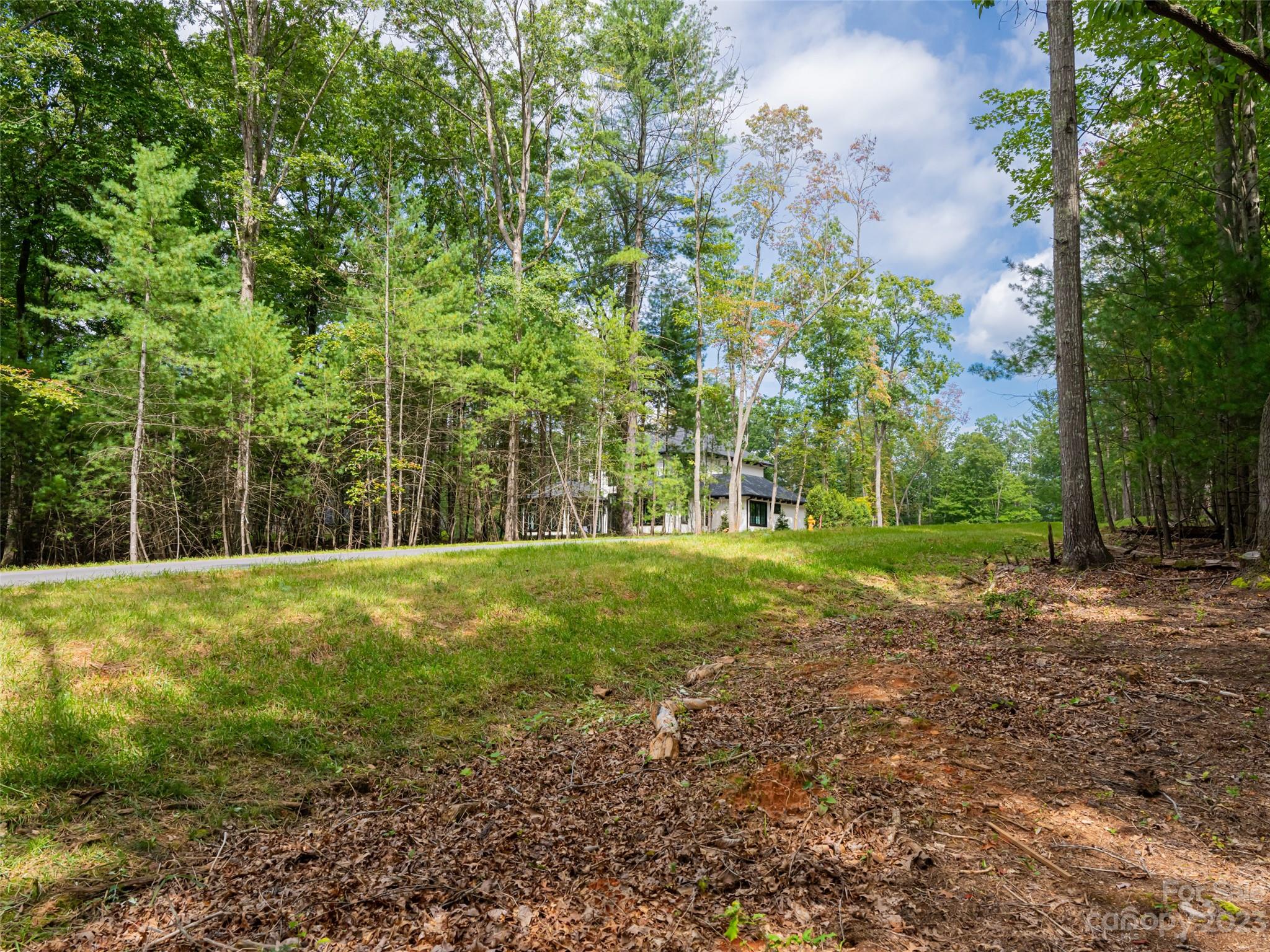 Ramble Biltmore Forest - Land