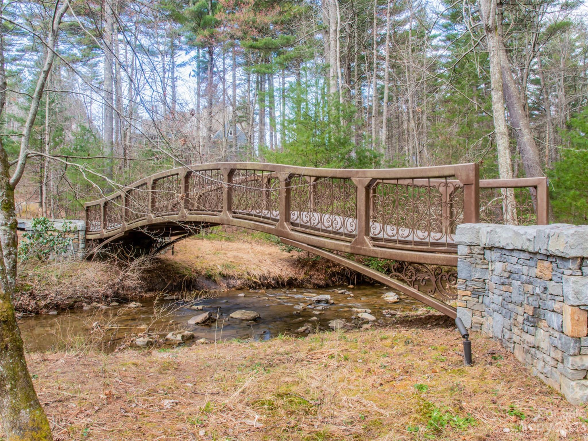 Ramble Biltmore Forest - Land
