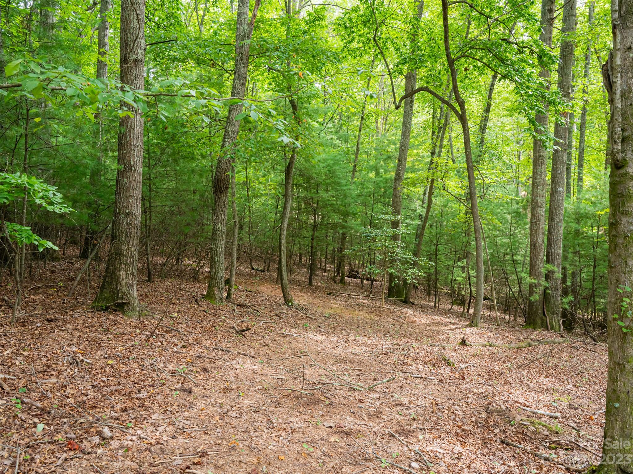 Ramble Biltmore Forest - Land