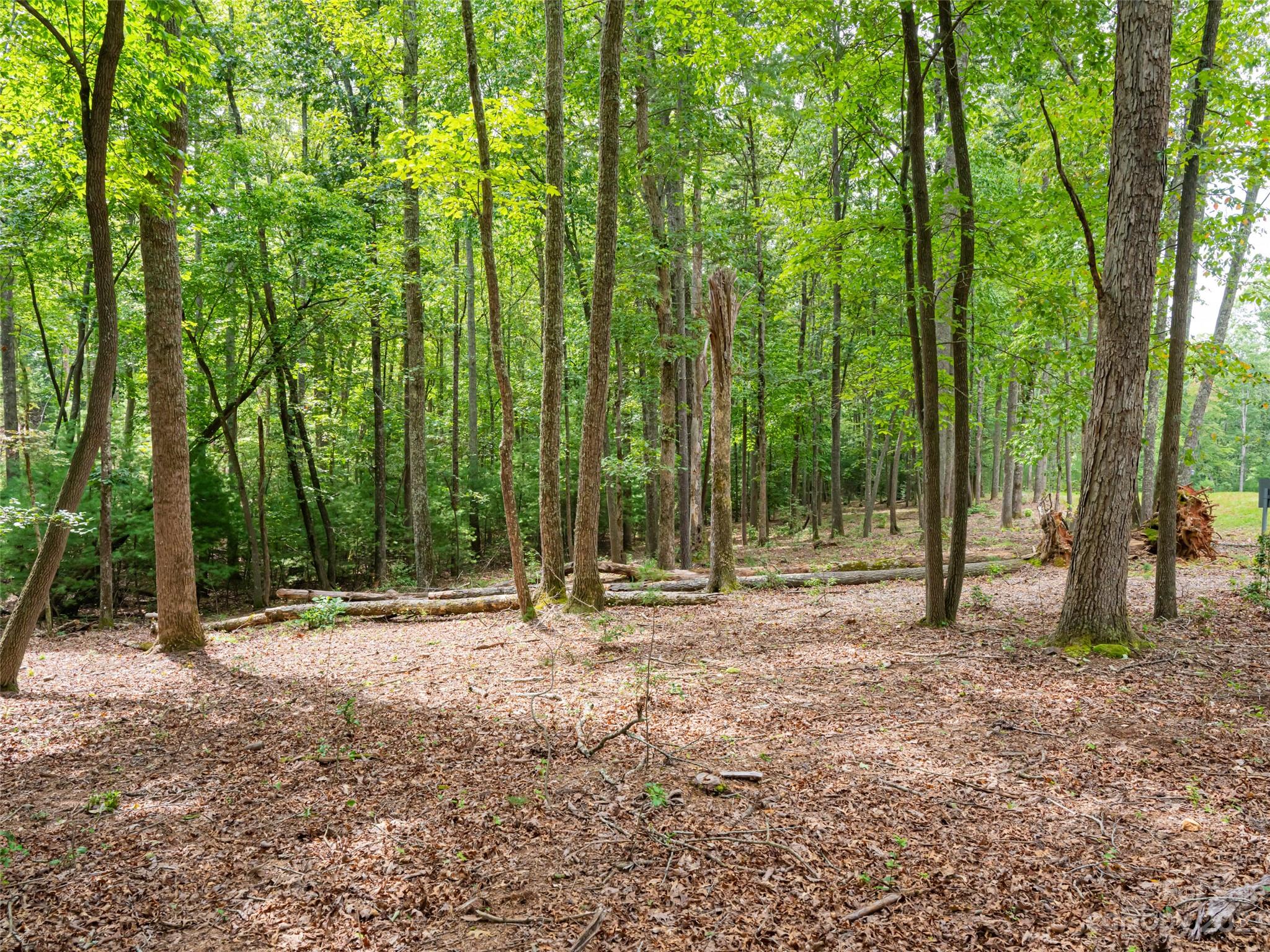 Ramble Biltmore Forest - Land