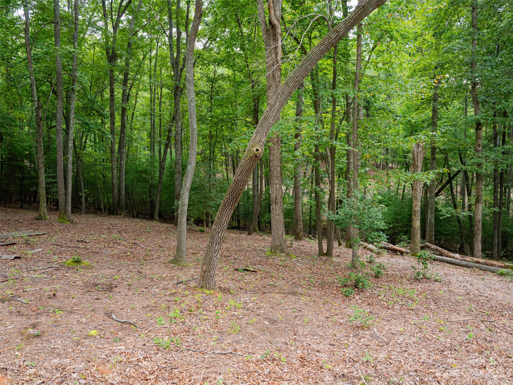 Ramble Biltmore Forest - Land