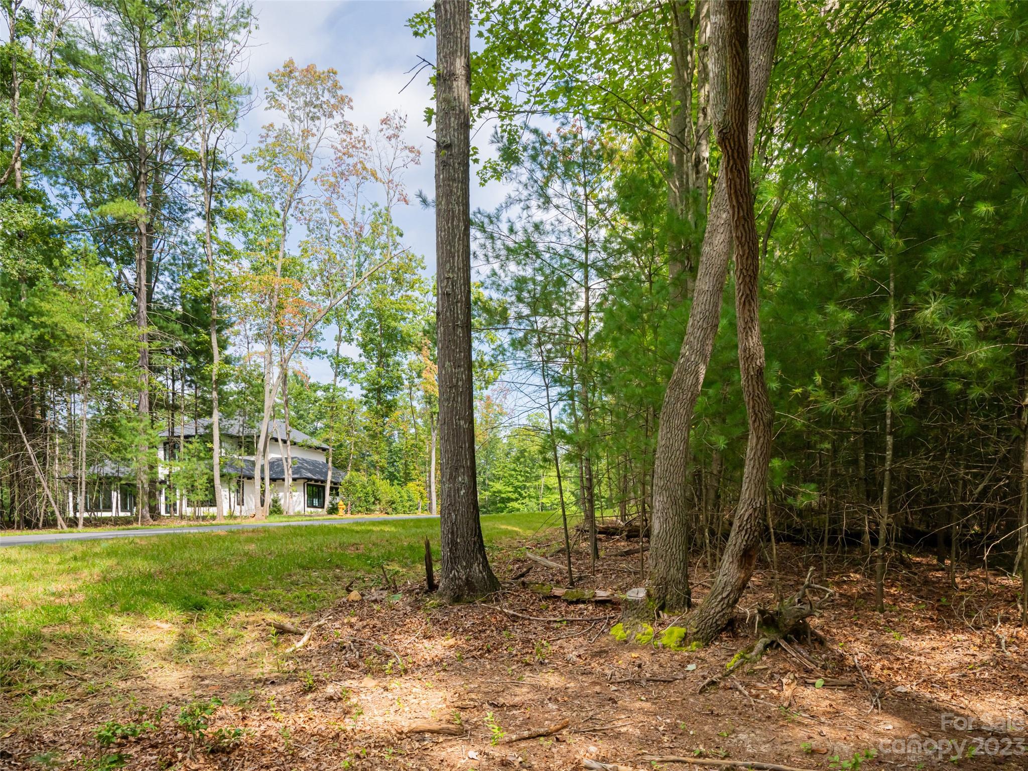 Ramble Biltmore Forest - Land