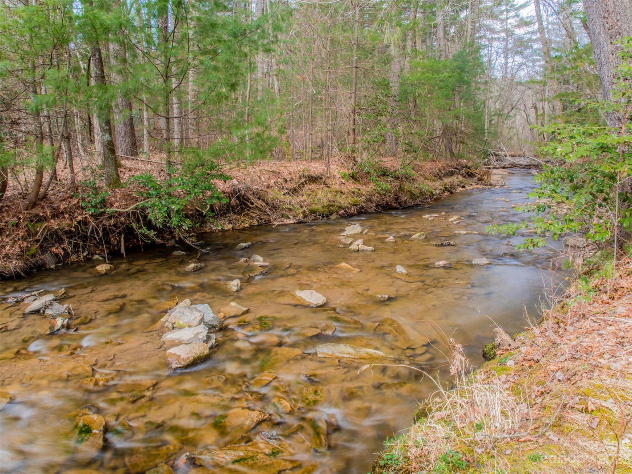 Ramble Biltmore Forest - Land