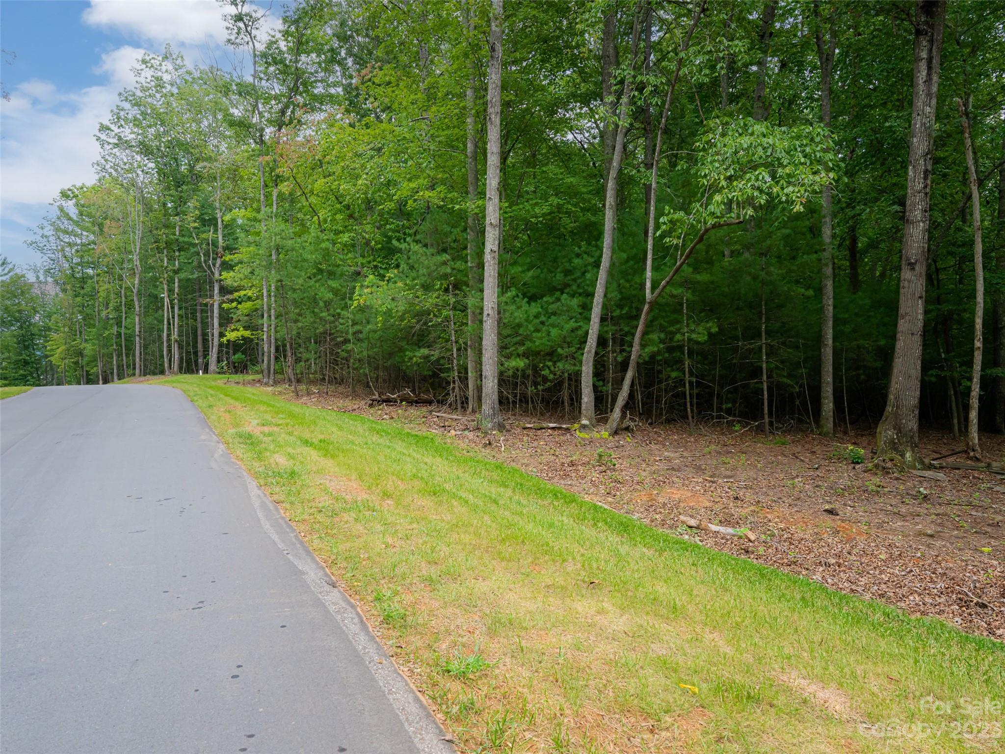 Ramble Biltmore Forest - Land