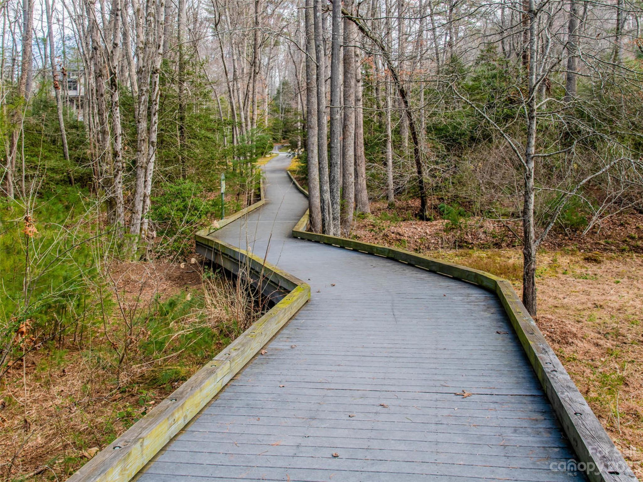 Ramble Biltmore Forest - Land