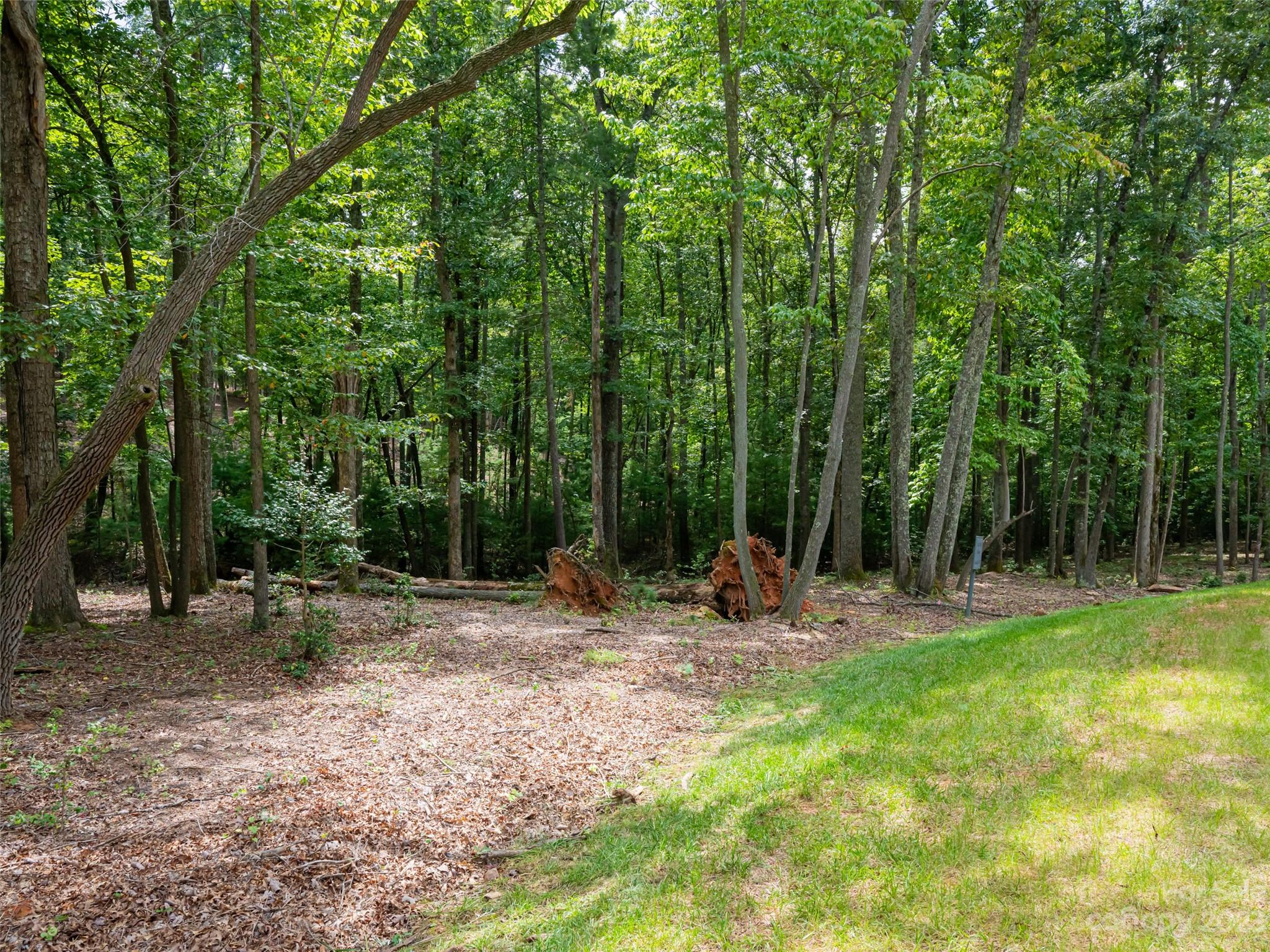 Ramble Biltmore Forest - Land