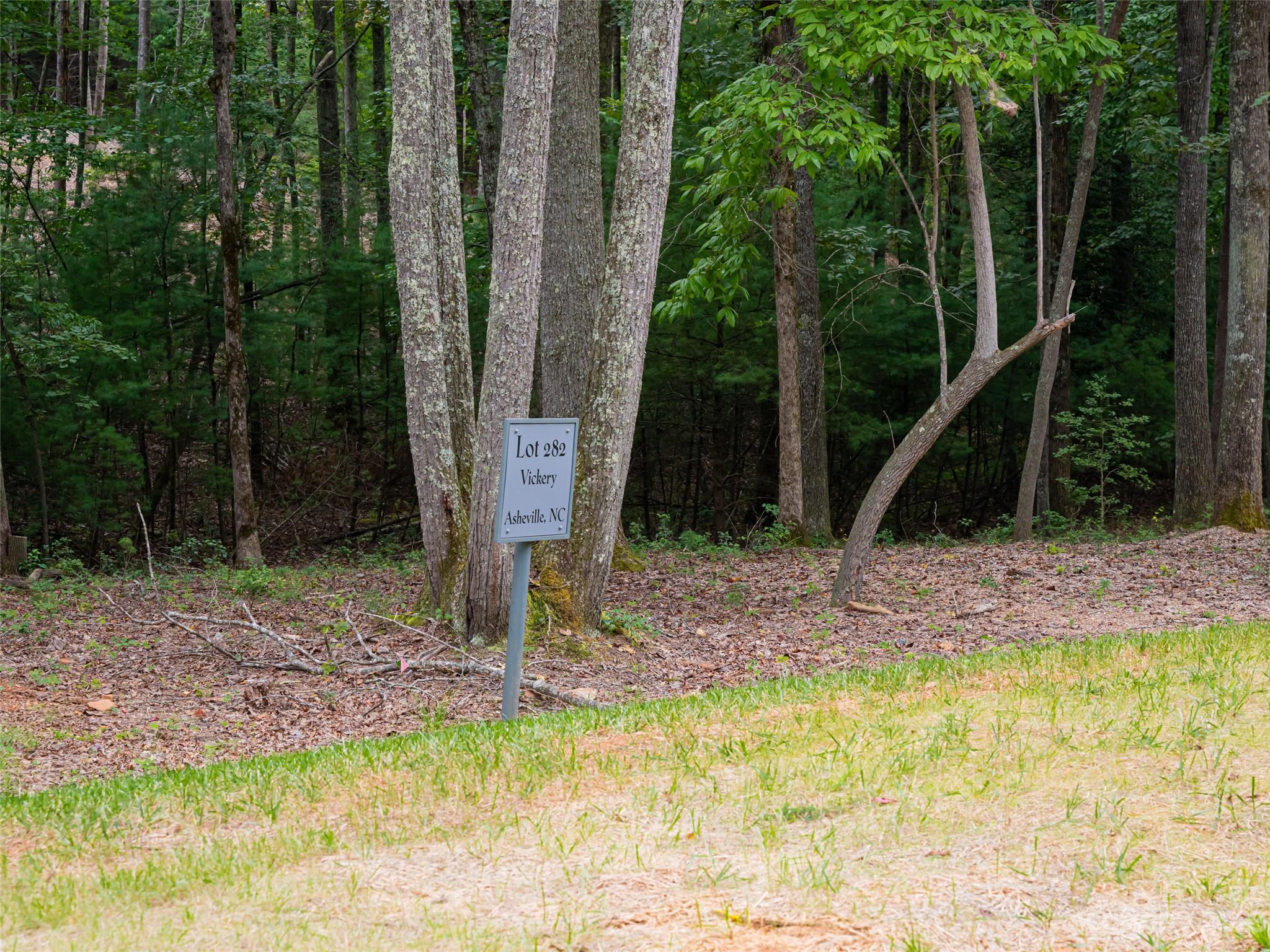Ramble Biltmore Forest - Land