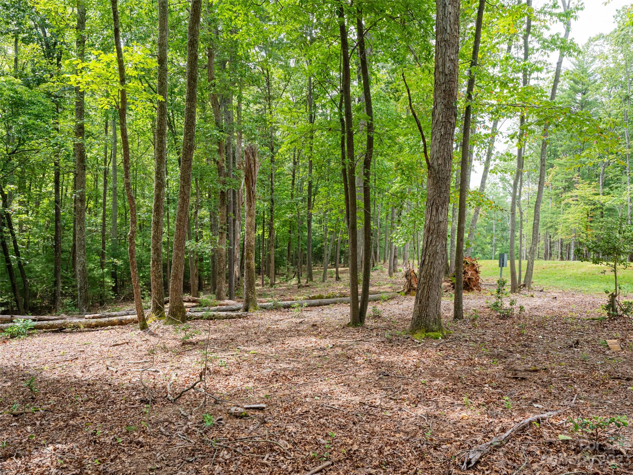 Ramble Biltmore Forest - Land