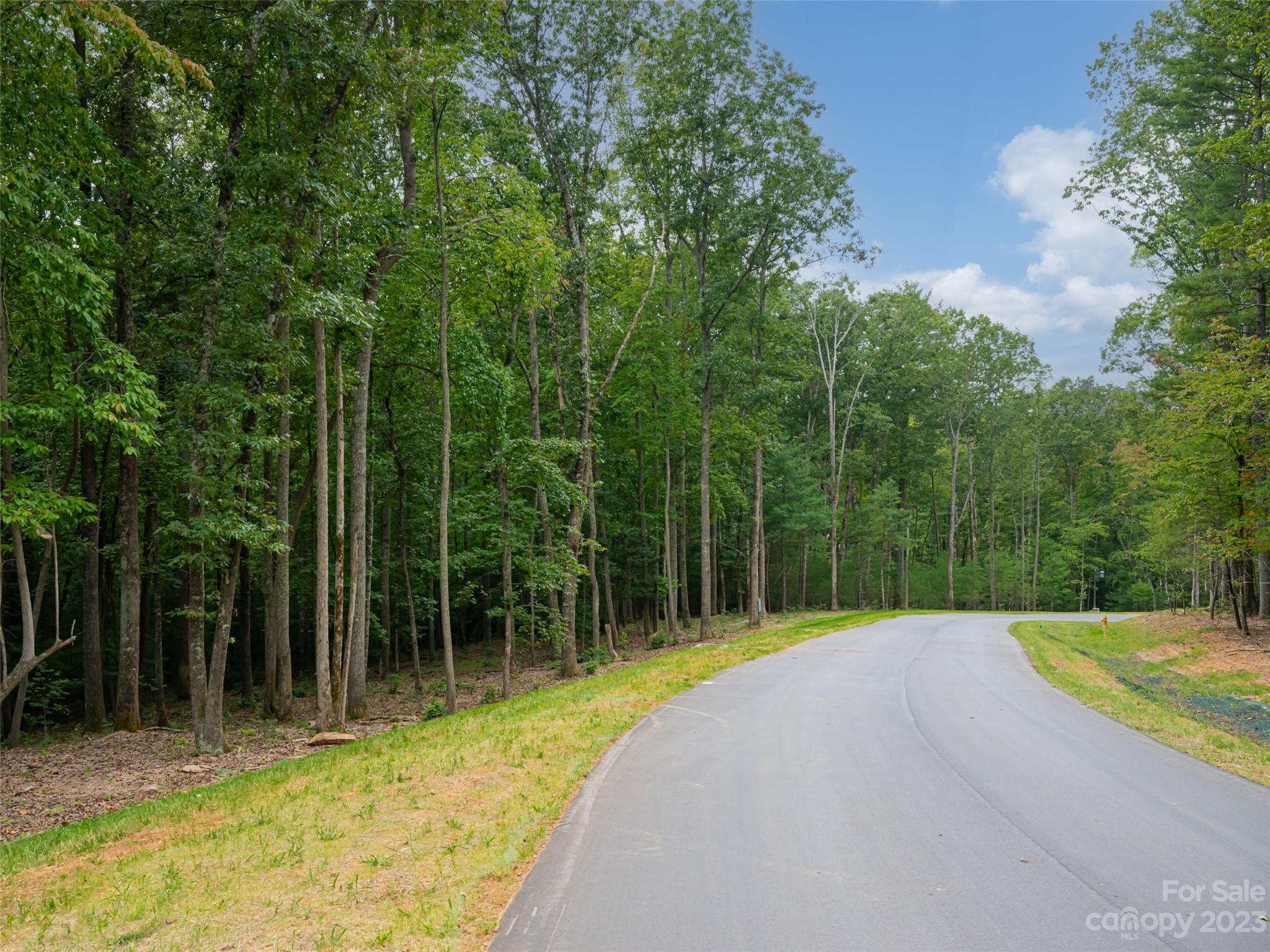 Ramble Biltmore Forest - Land