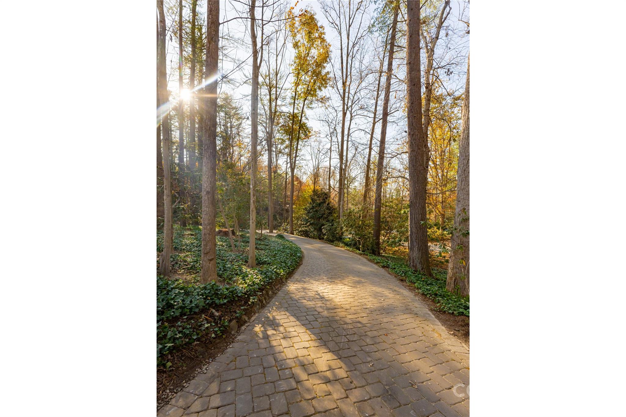 Biltmore Forest - Residential