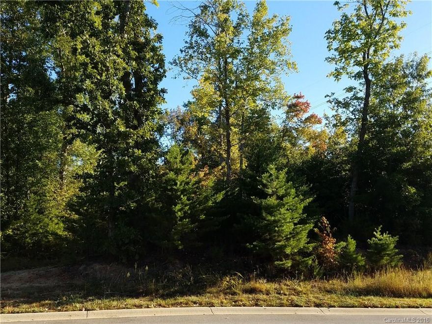Build your dream home on this beautiful lot in The Retreat at Sunset Ridge. Enjoy convenience to lake access, recreation, and shopping. Award winning Clover schools and low SC taxes in close proximity to Charlotte, NC.