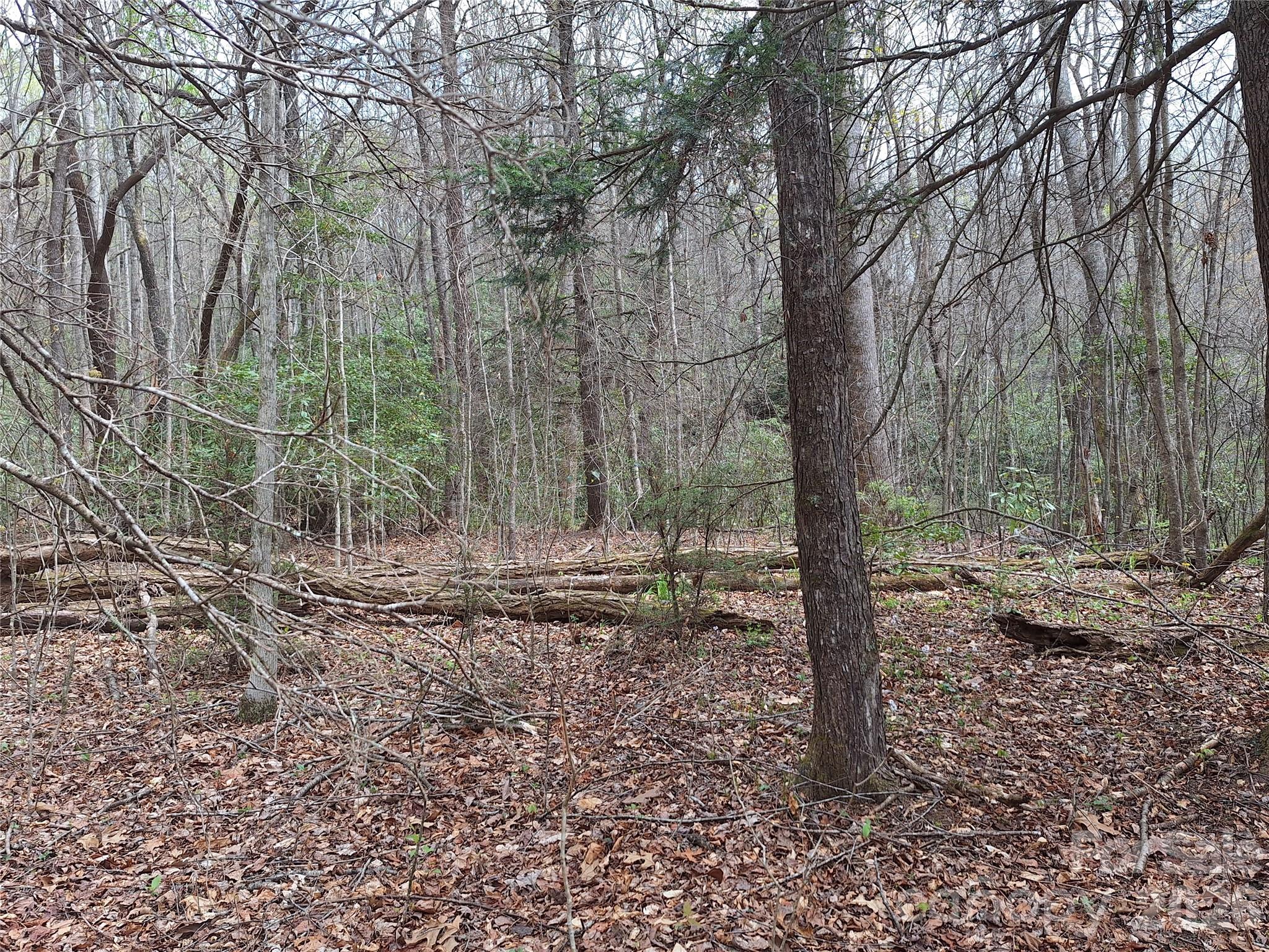 Gateway Mountain - Land