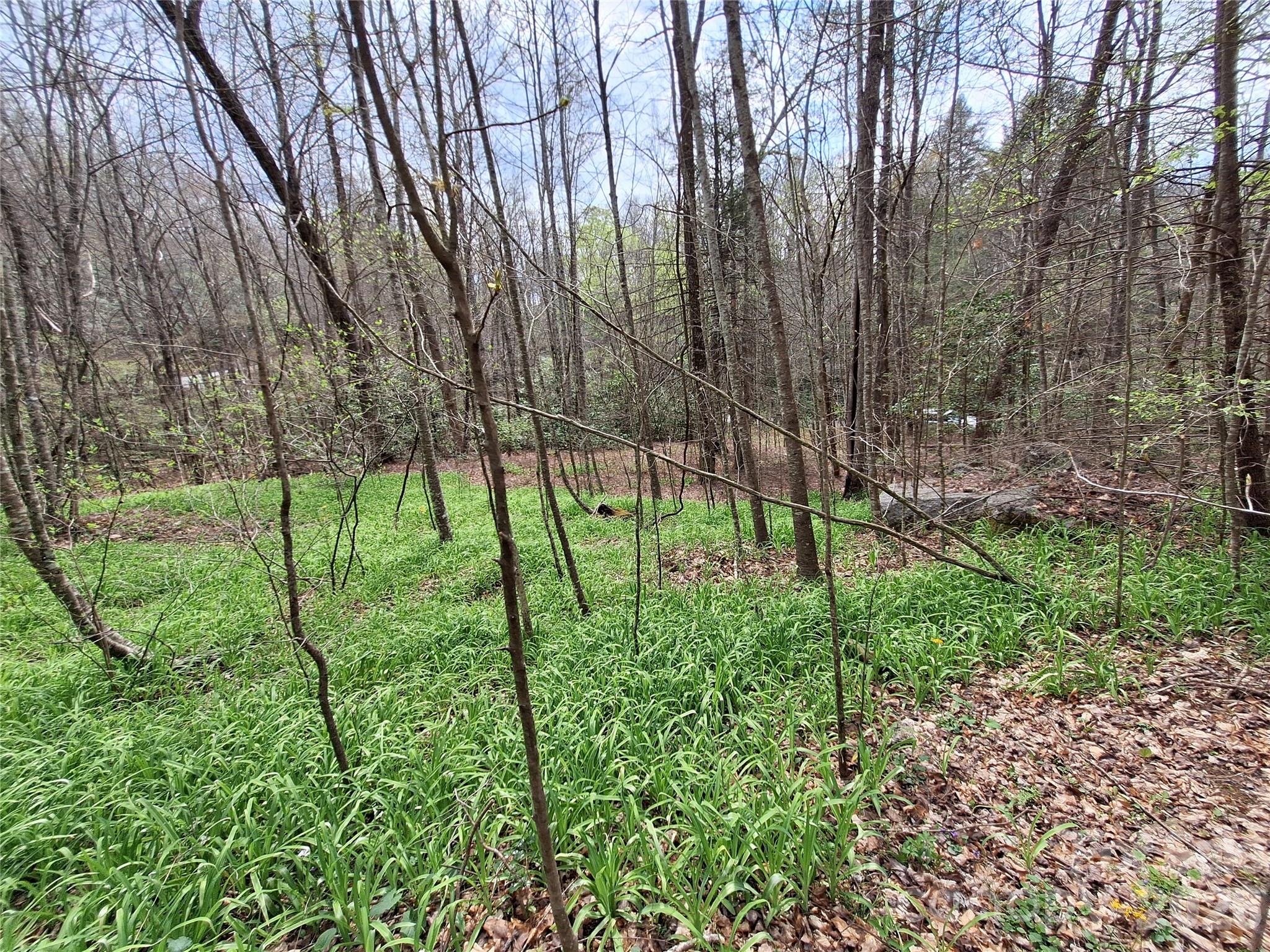 Gateway Mountain - Land